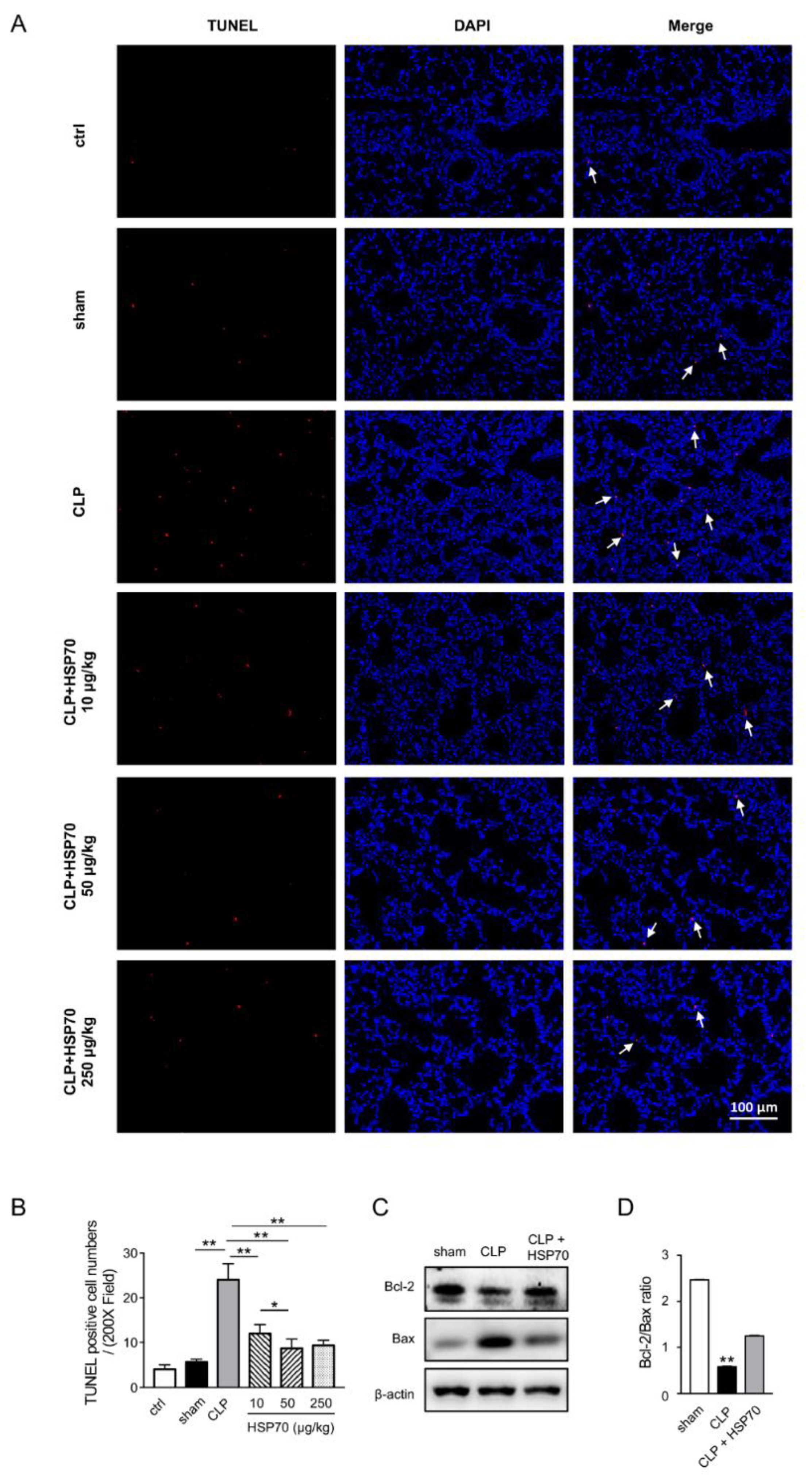 Biomolecules 12 00410 g002