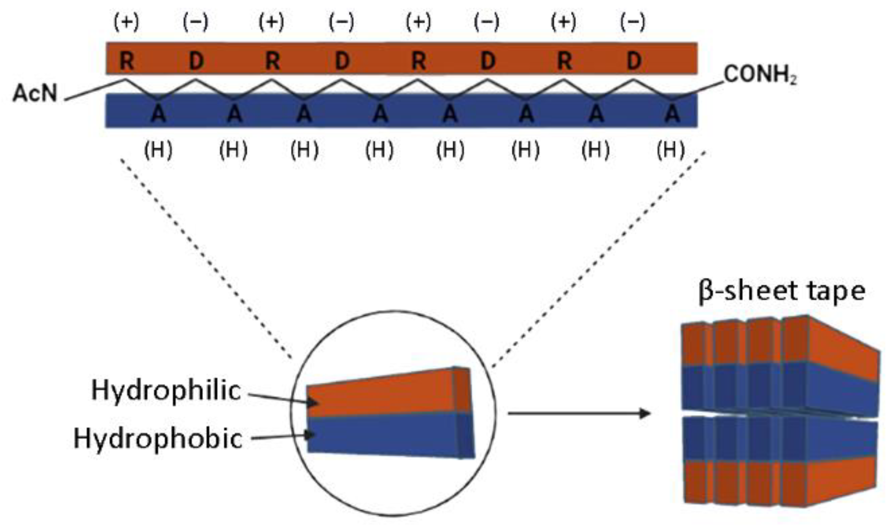 Biomolecules 12 00411 g001