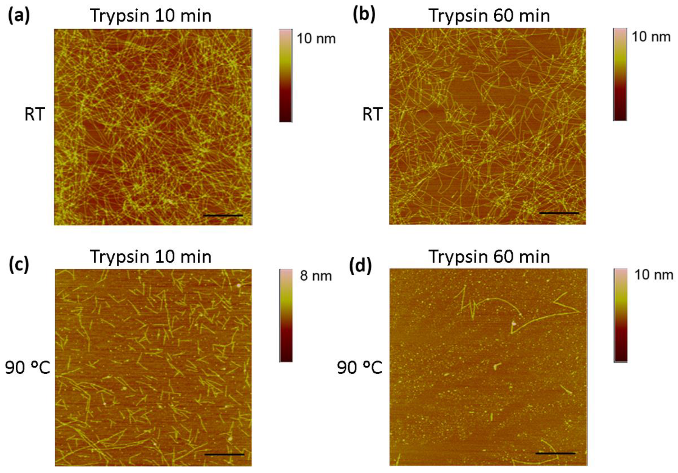 Biomolecules 12 00411 g005