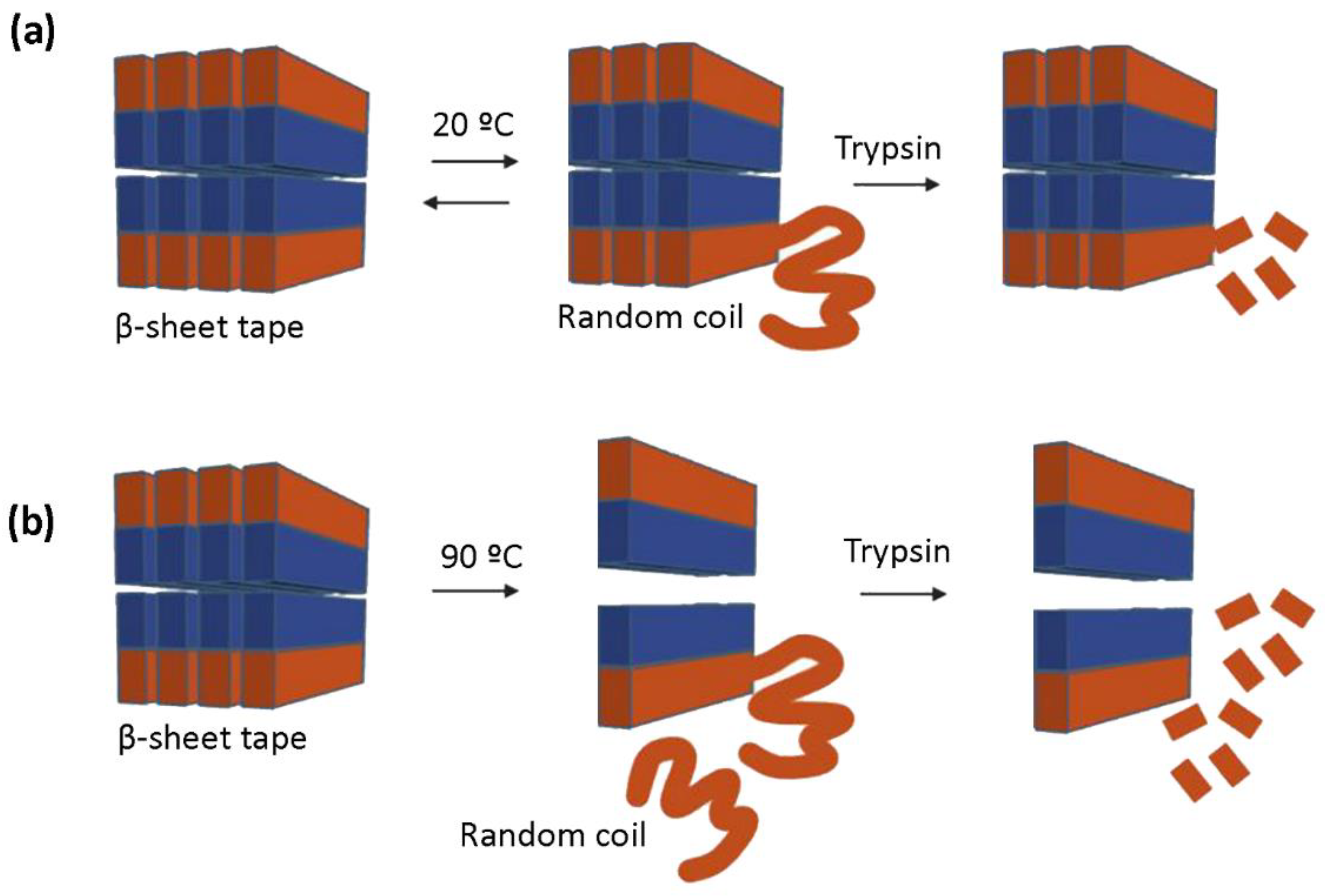 Biomolecules 12 00411 g006