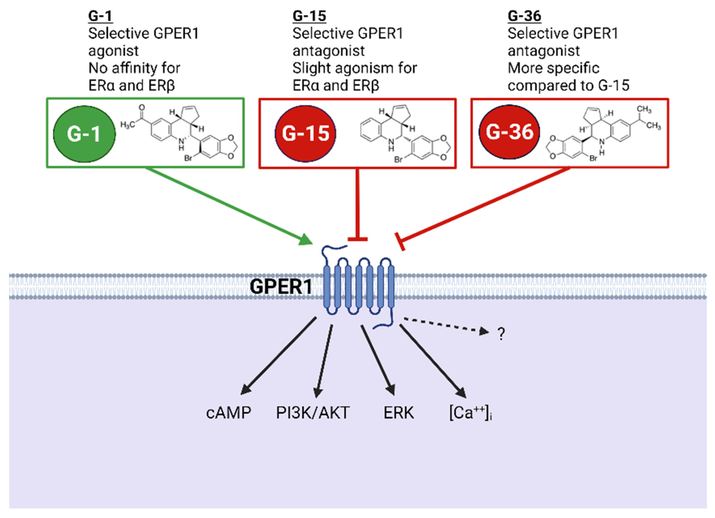 Biomolecules 12 00412 g002 Biomolecules 12 00412 g002