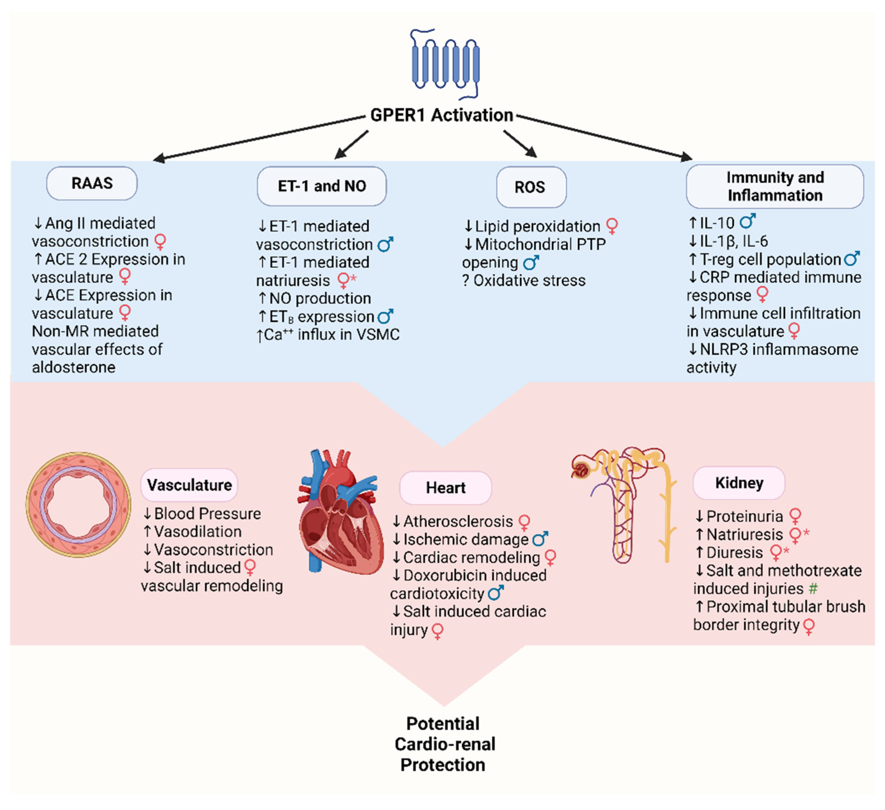 Biomolecules 12 00412 g003 Biomolecules 12 00412 g003