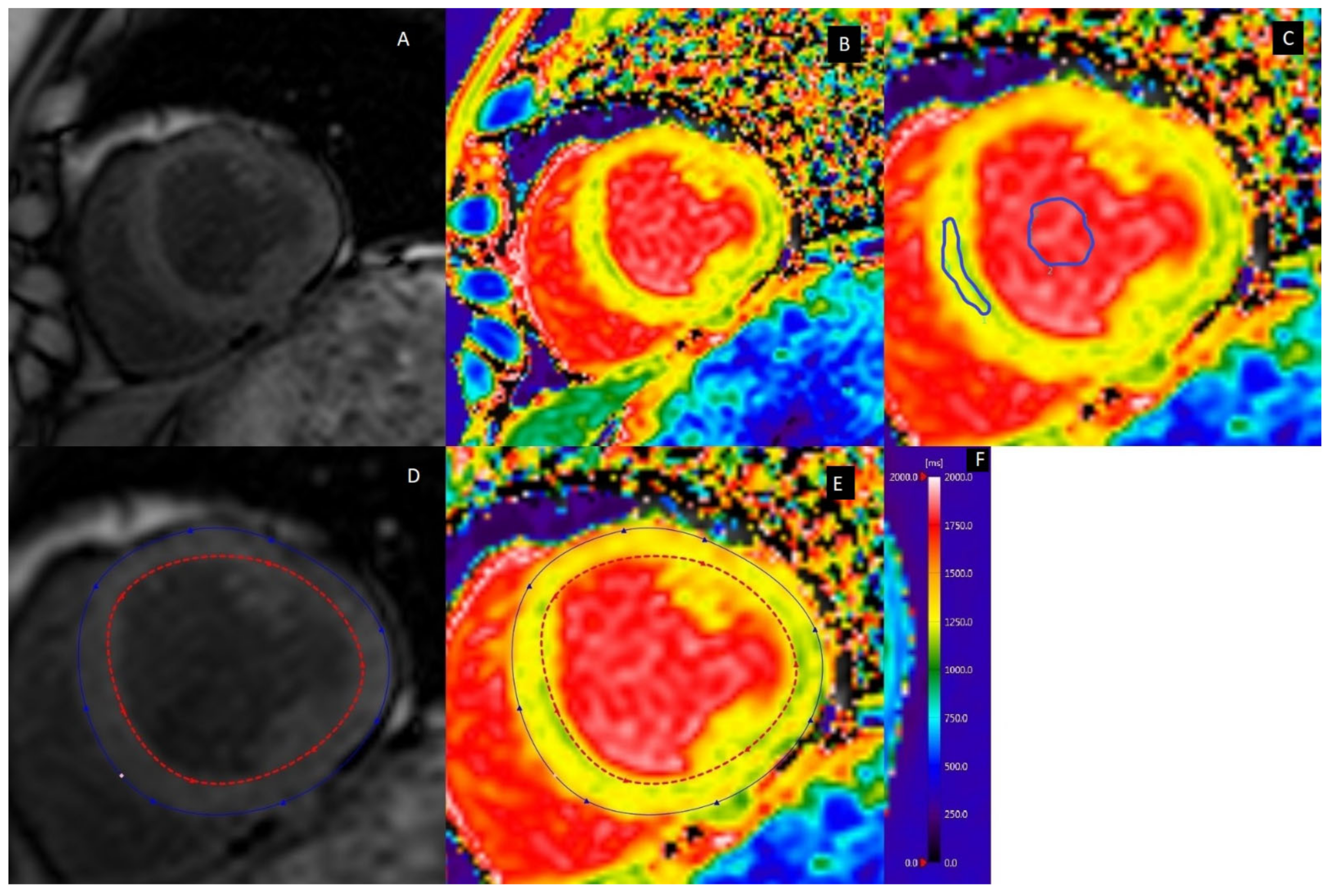 Biomolecules 12 00415 g002 Biomolecules 12 00415 g002