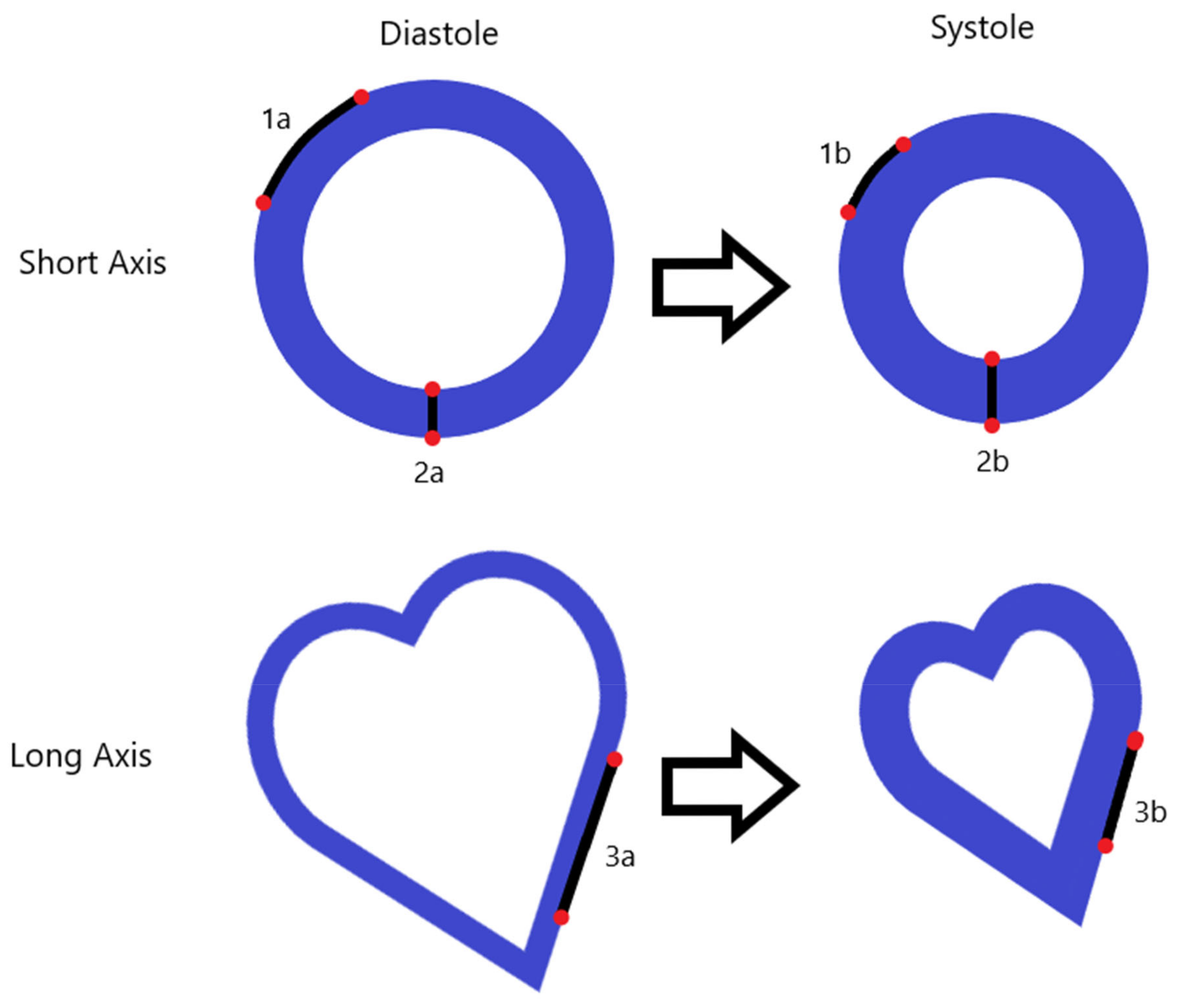 Biomolecules 12 00415 g003 Biomolecules 12 00415 g003