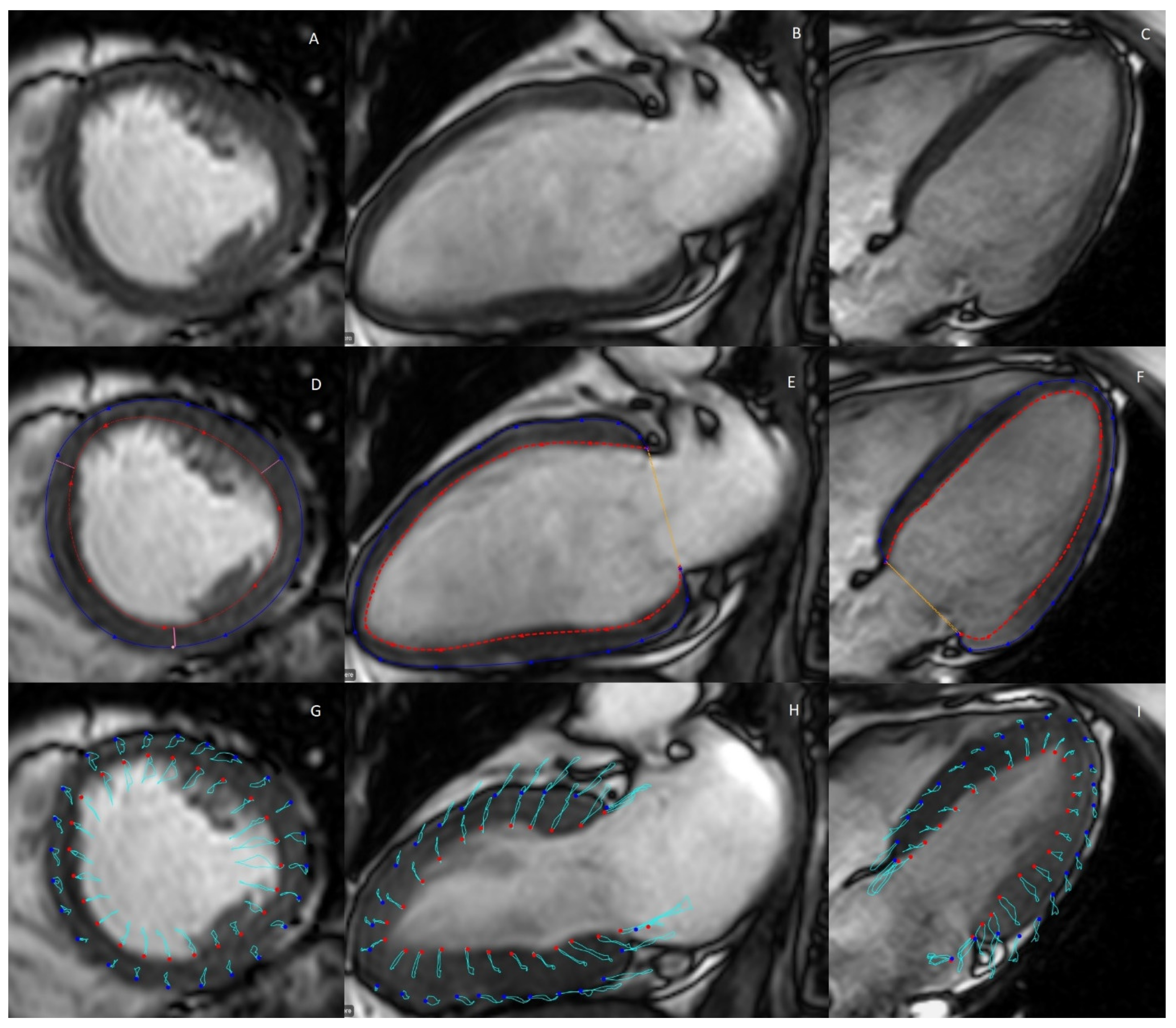 Biomolecules 12 00415 g004 Biomolecules 12 00415 g004