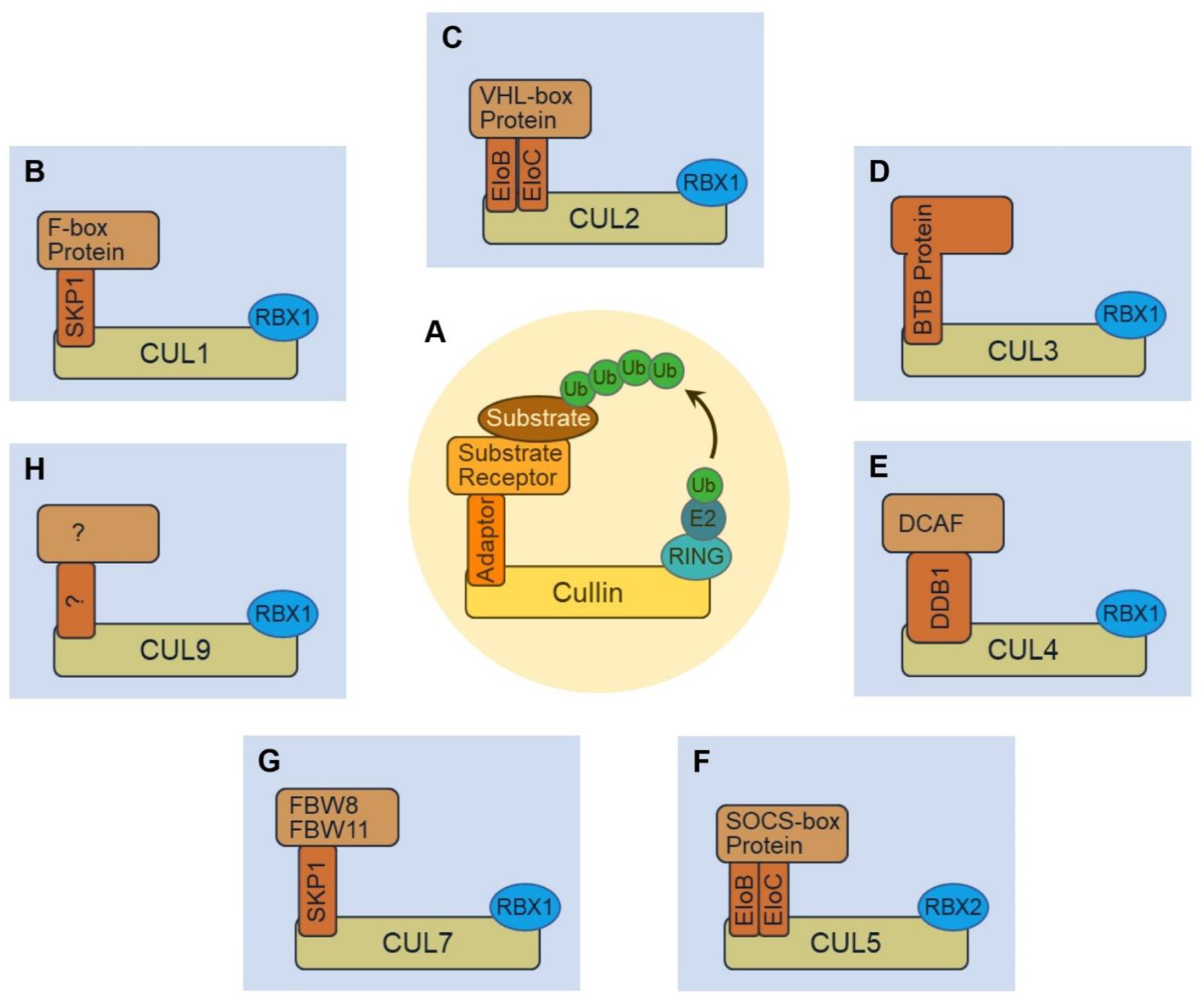 Biomolecules 12 00416 g001
