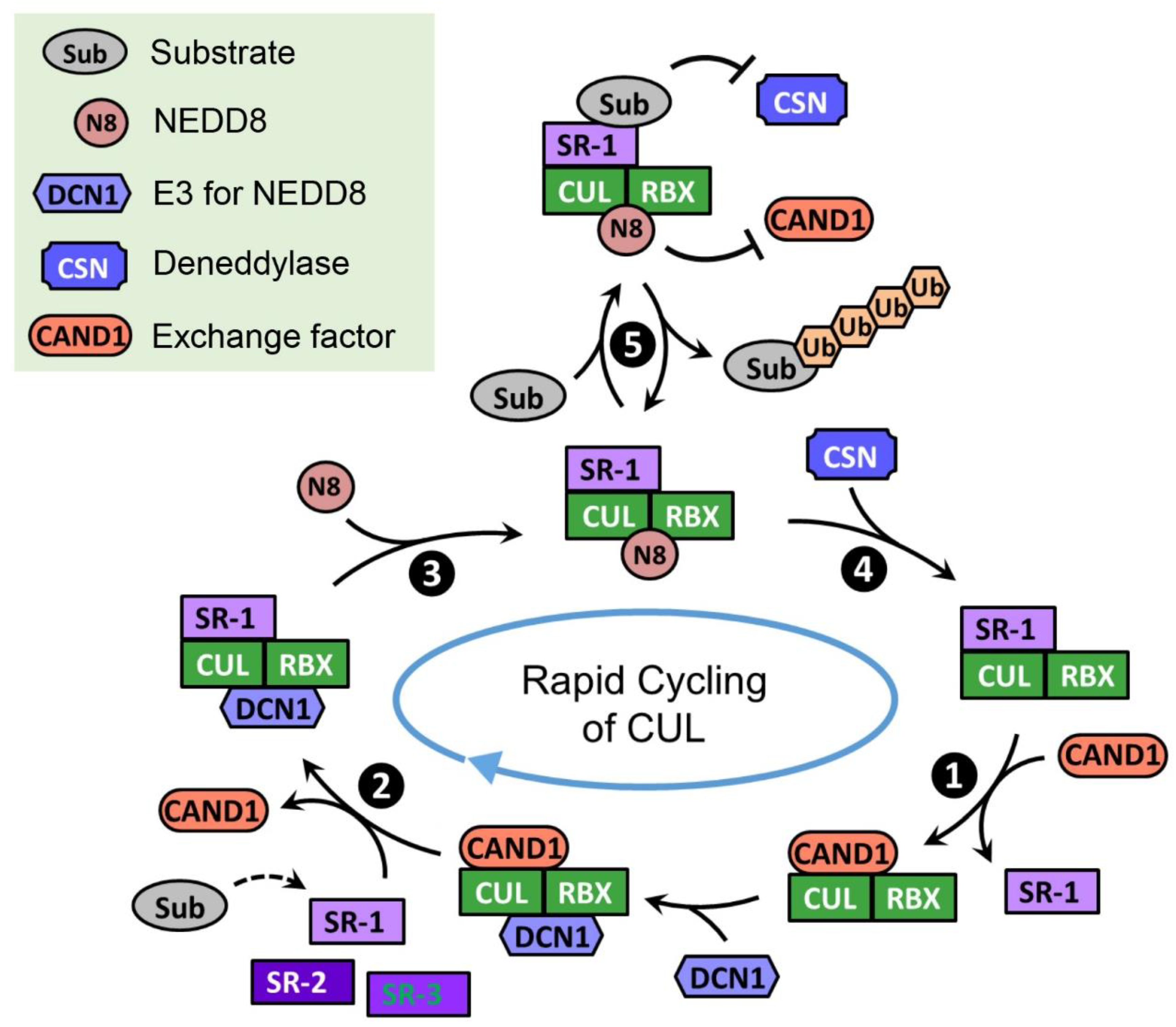 Biomolecules 12 00416 g002