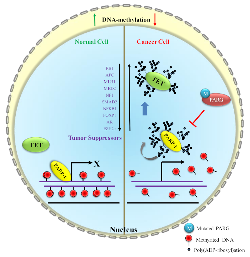 Biomolecules 12 00417 g005