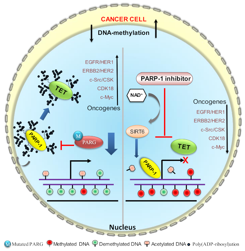 Biomolecules 12 00417 g006