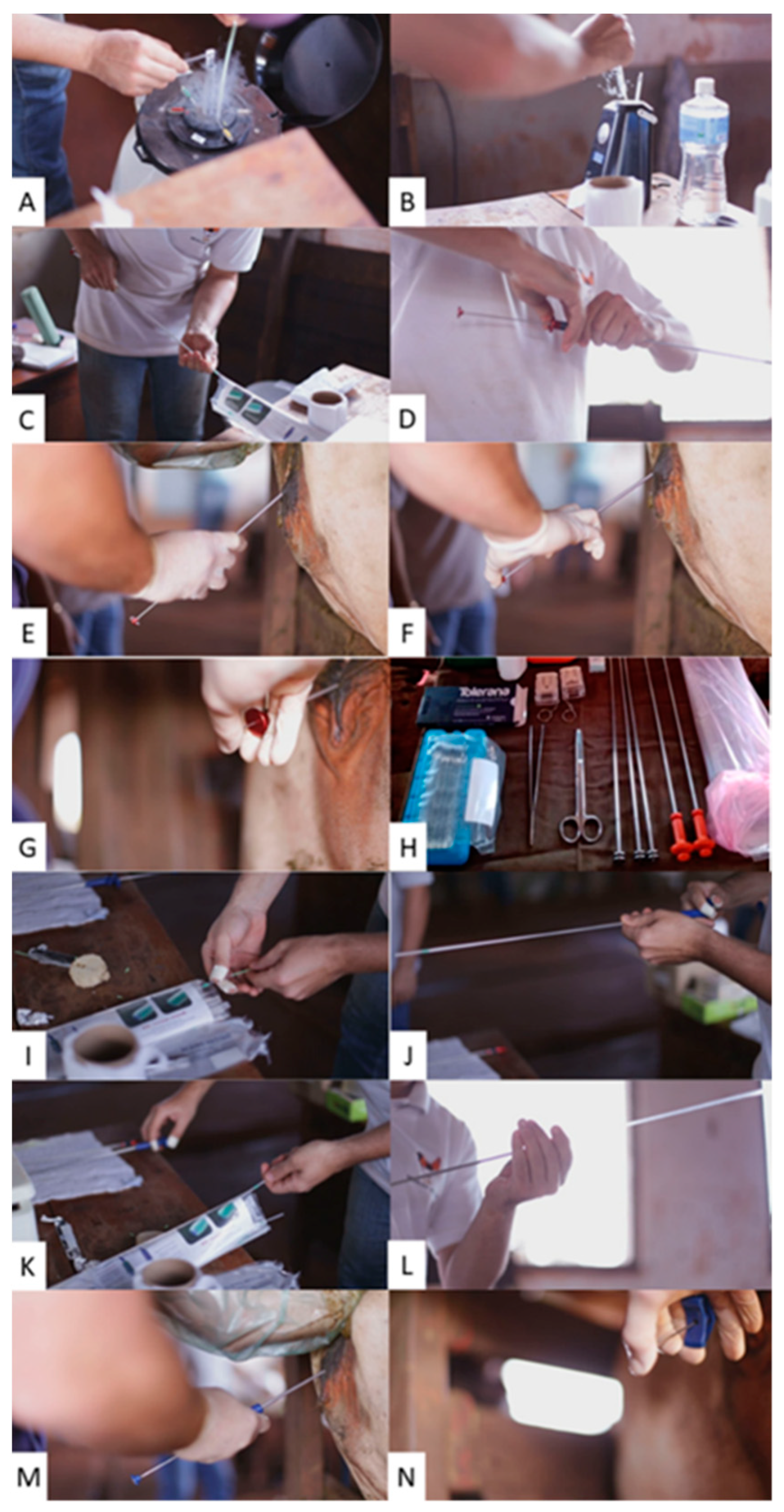 Biomolecules 12 00419 g001