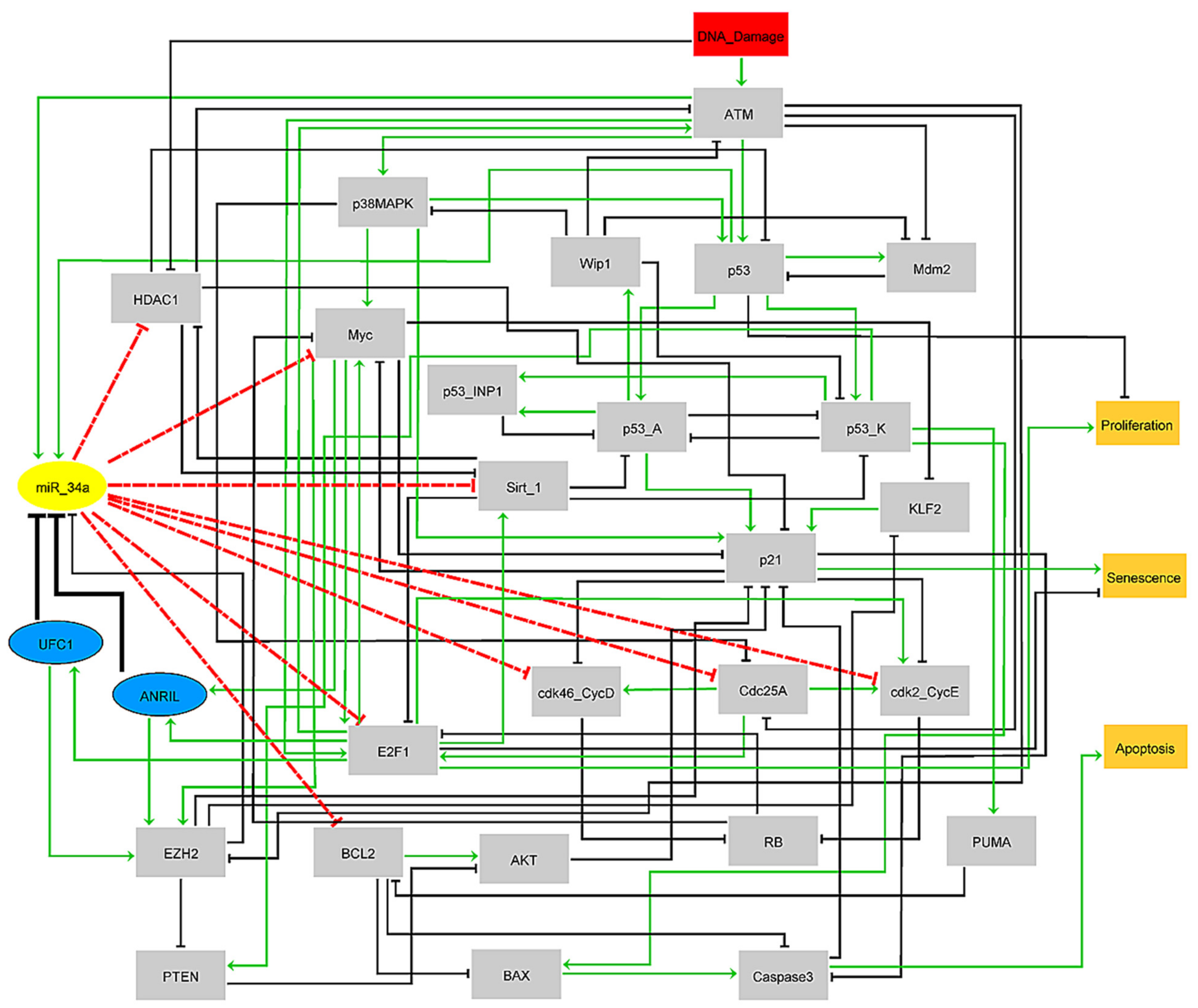 Biomolecules 12 00420 g001 Biomolecules 12 00420 g001