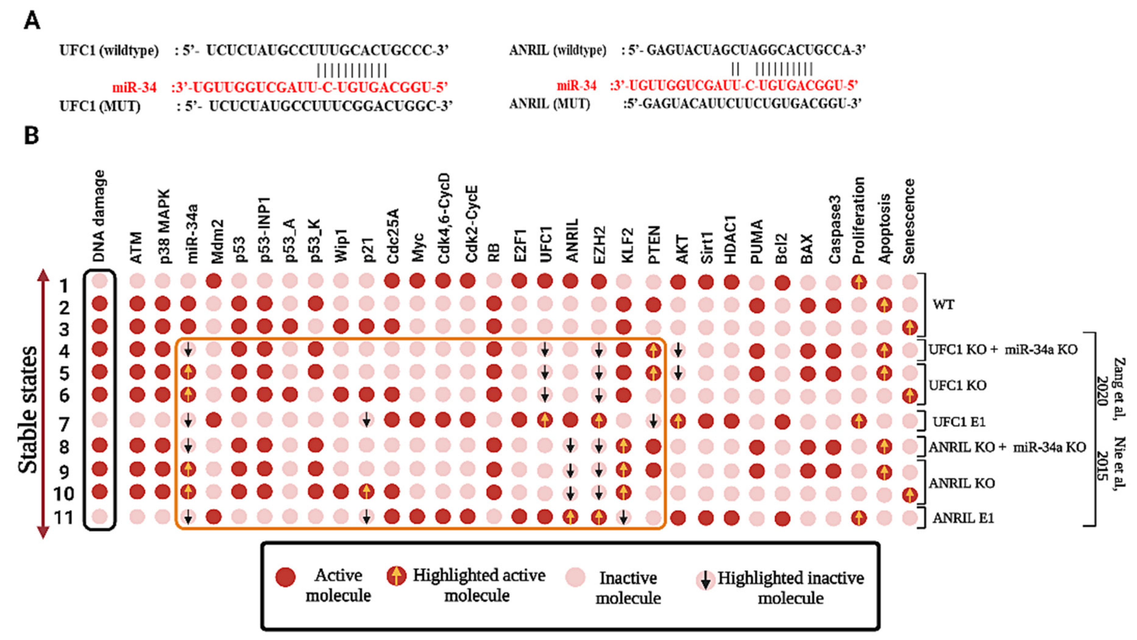 Biomolecules 12 00420 g002 Biomolecules 12 00420 g002