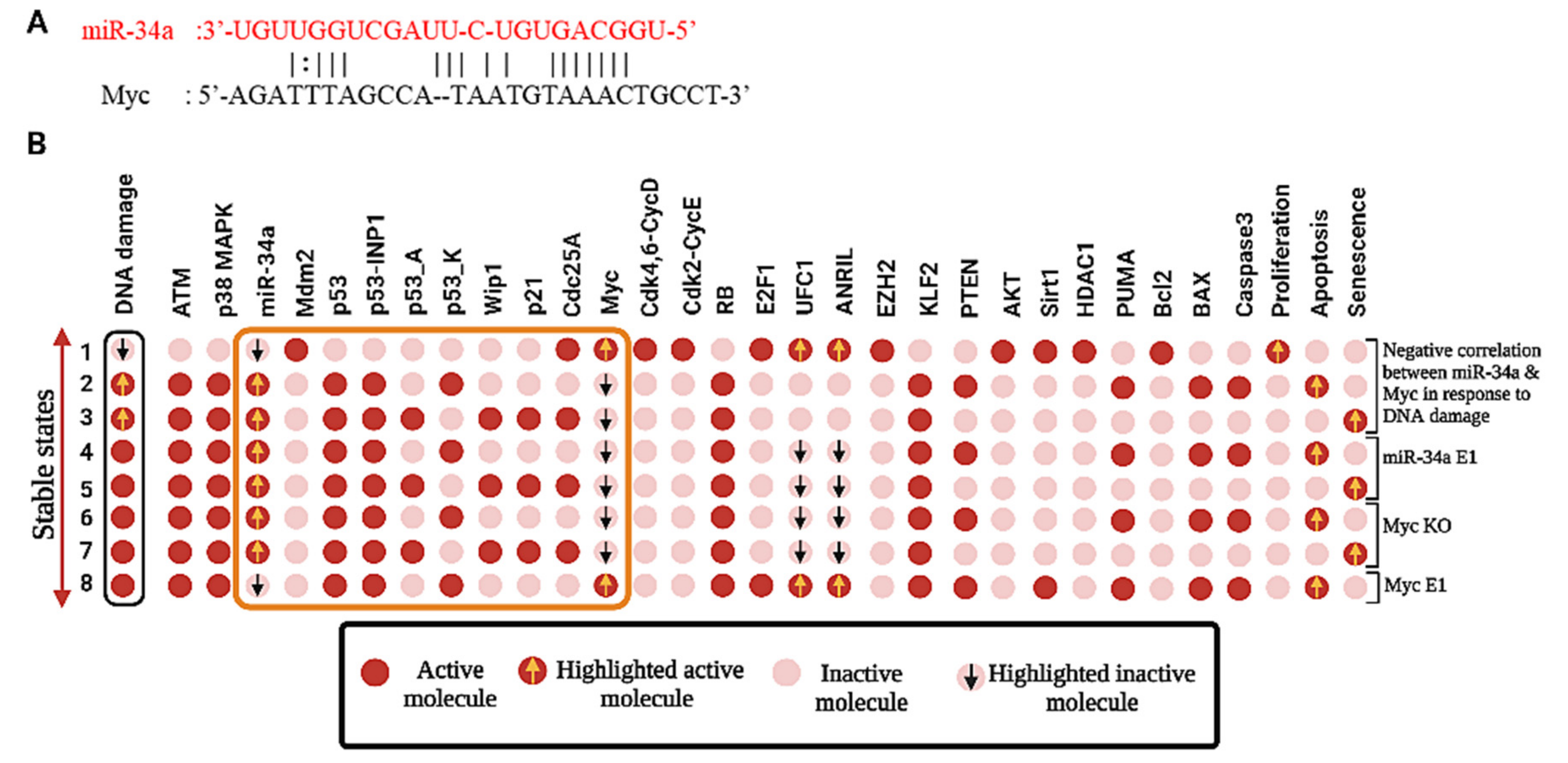 Biomolecules 12 00420 g004 Biomolecules 12 00420 g004