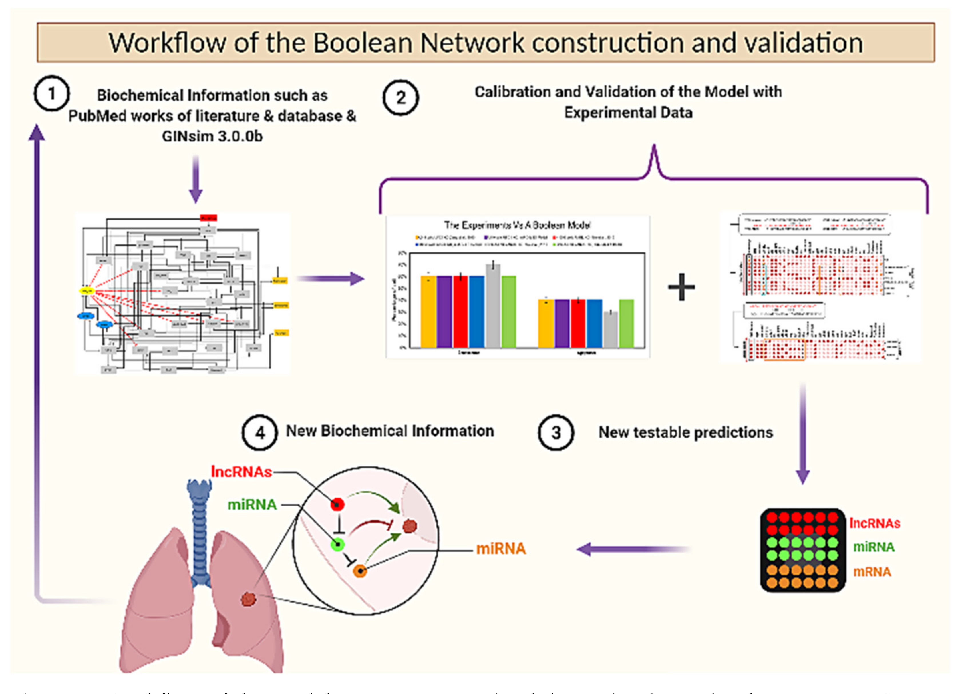 Biomolecules 12 00420 g005 Biomolecules 12 00420 g005