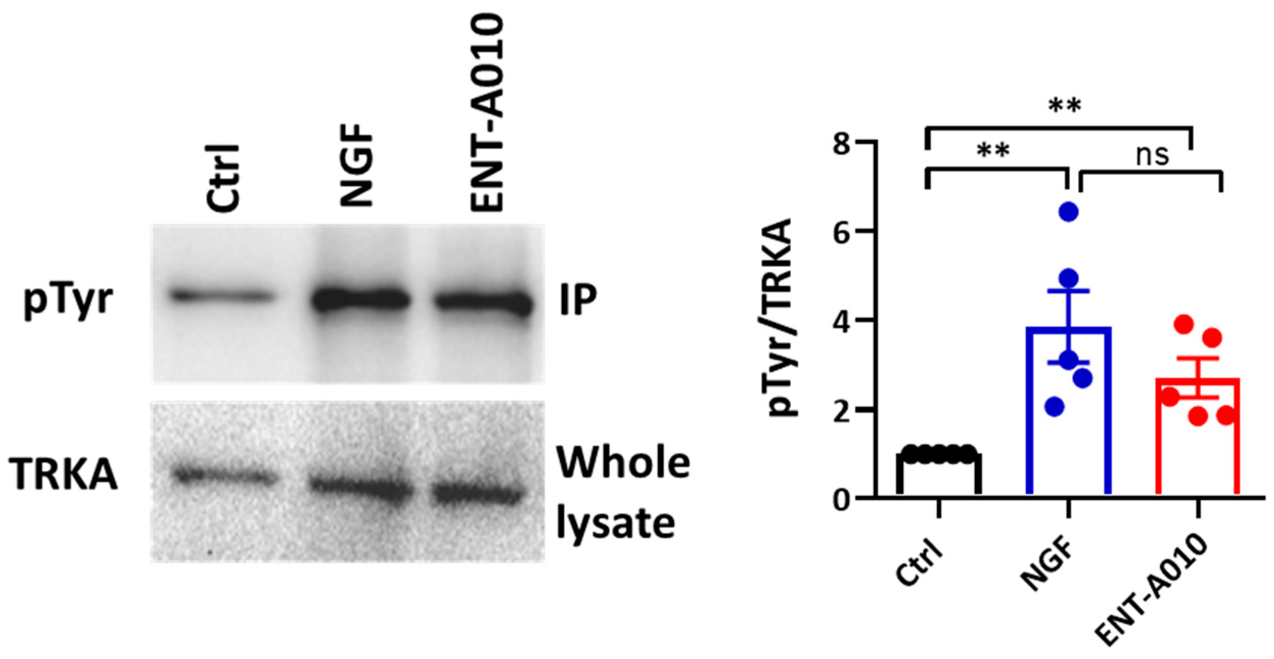 Biomolecules 12 00424 g002 Biomolecules 12 00424 g002