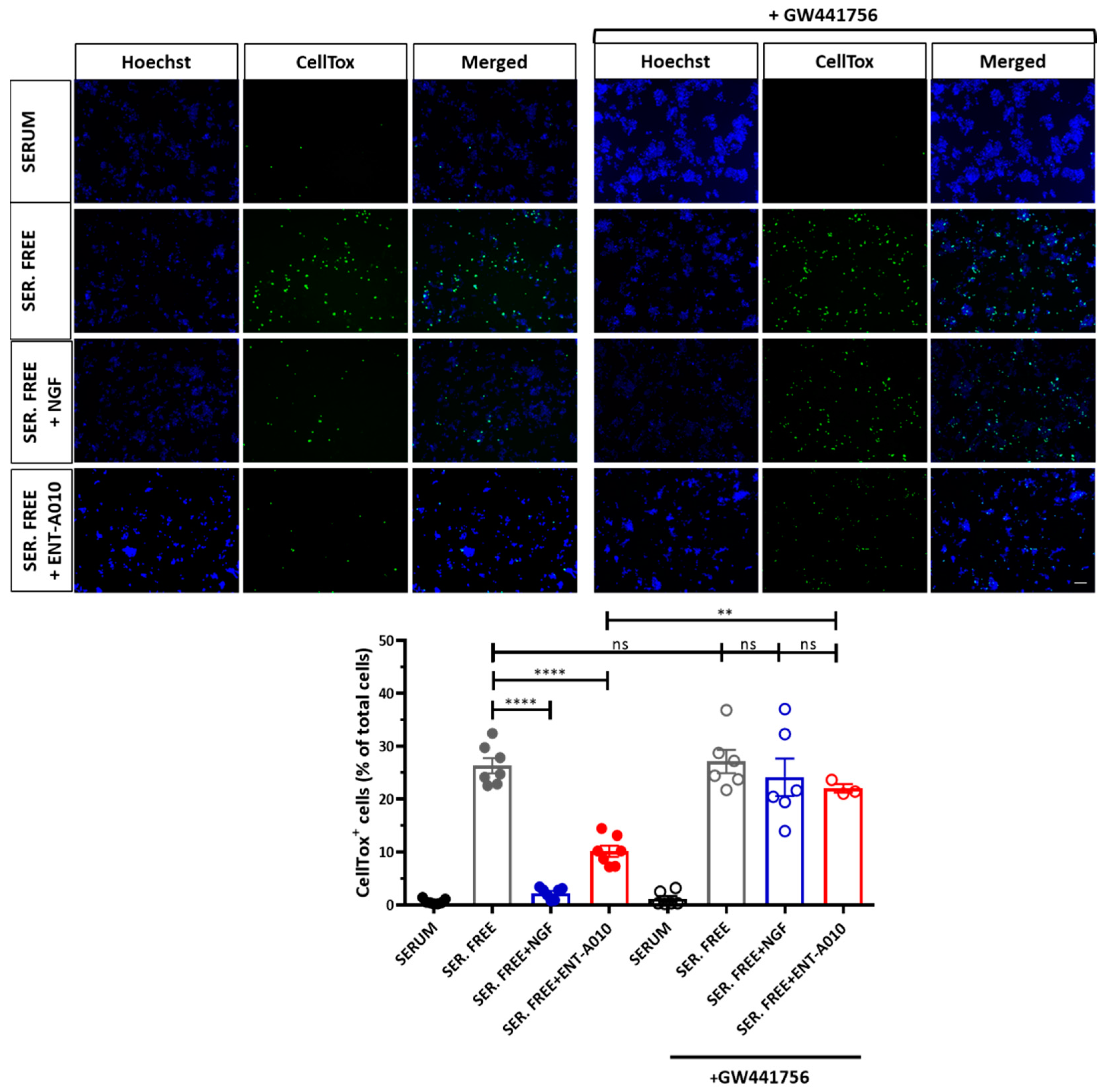 Biomolecules 12 00424 g003 Biomolecules 12 00424 g003