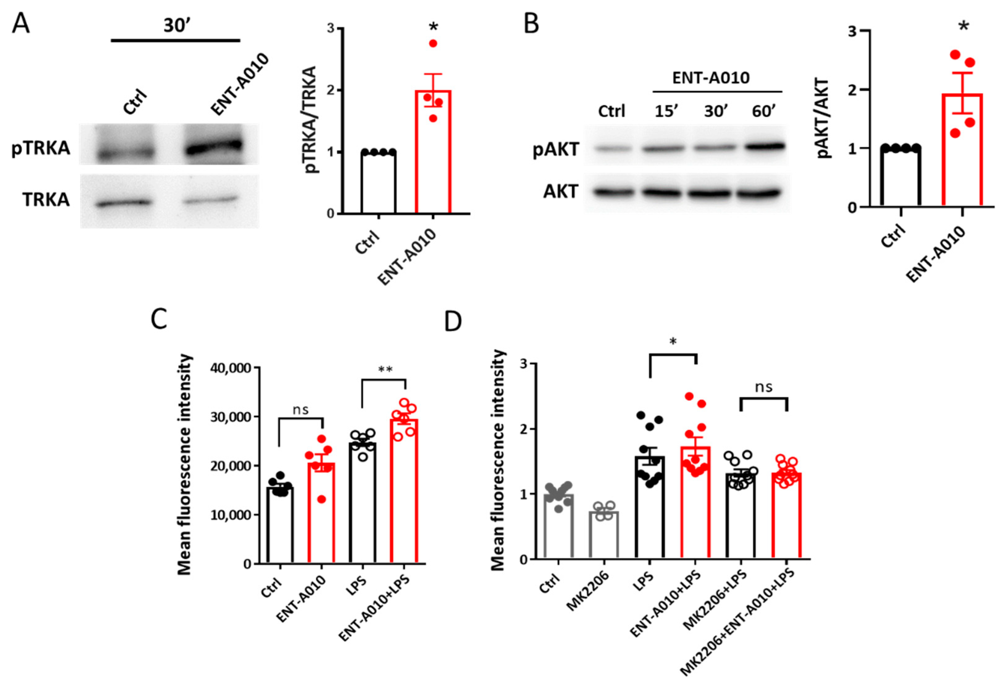 Biomolecules 12 00424 g006 Biomolecules 12 00424 g006