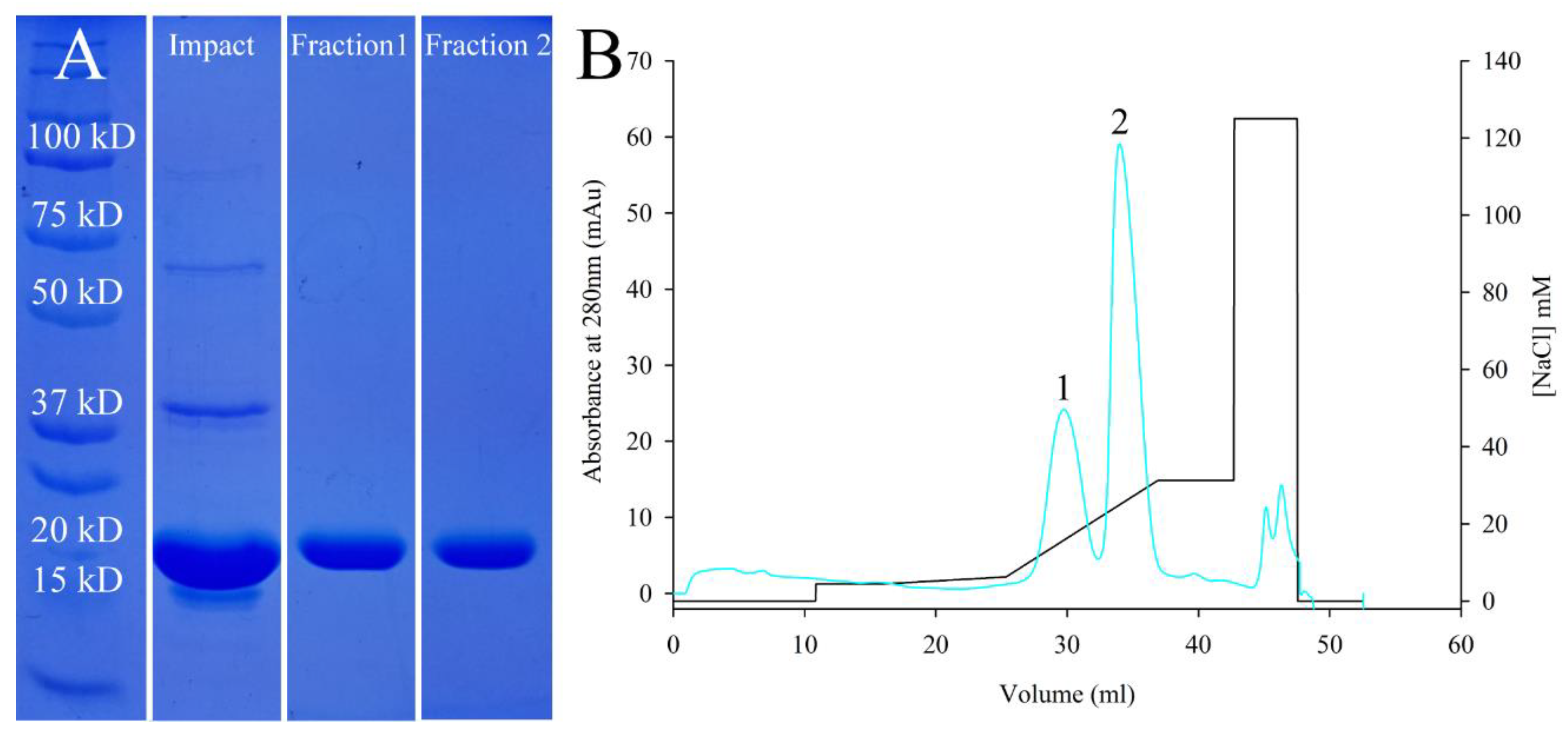 Biomolecules 12 00425 g001 550