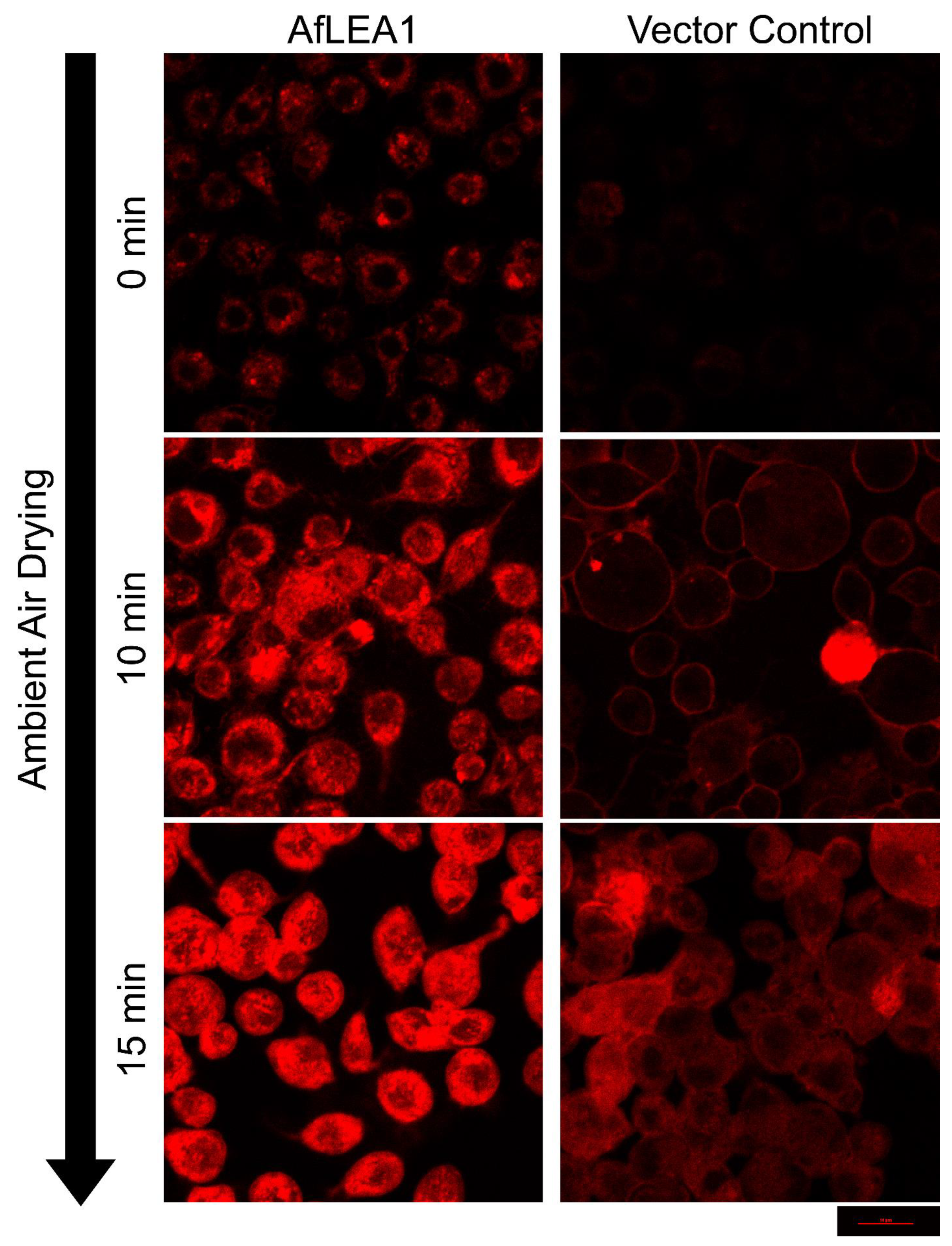 Biomolecules 12 00425 g013 550