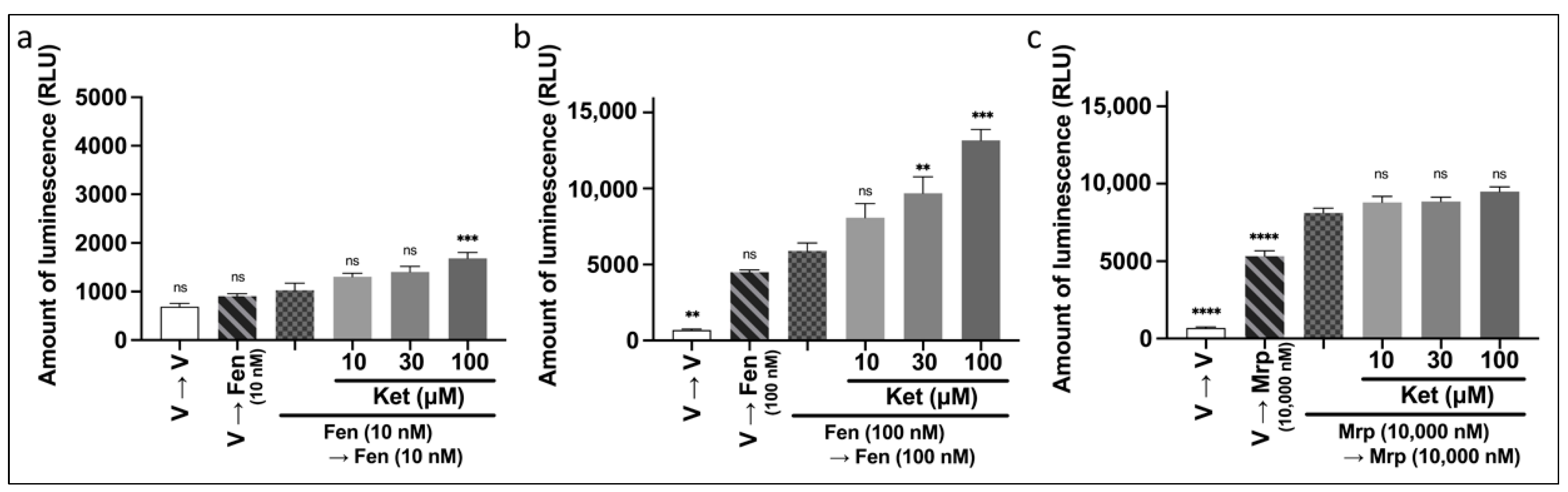 Biomolecules 12 00426 g006