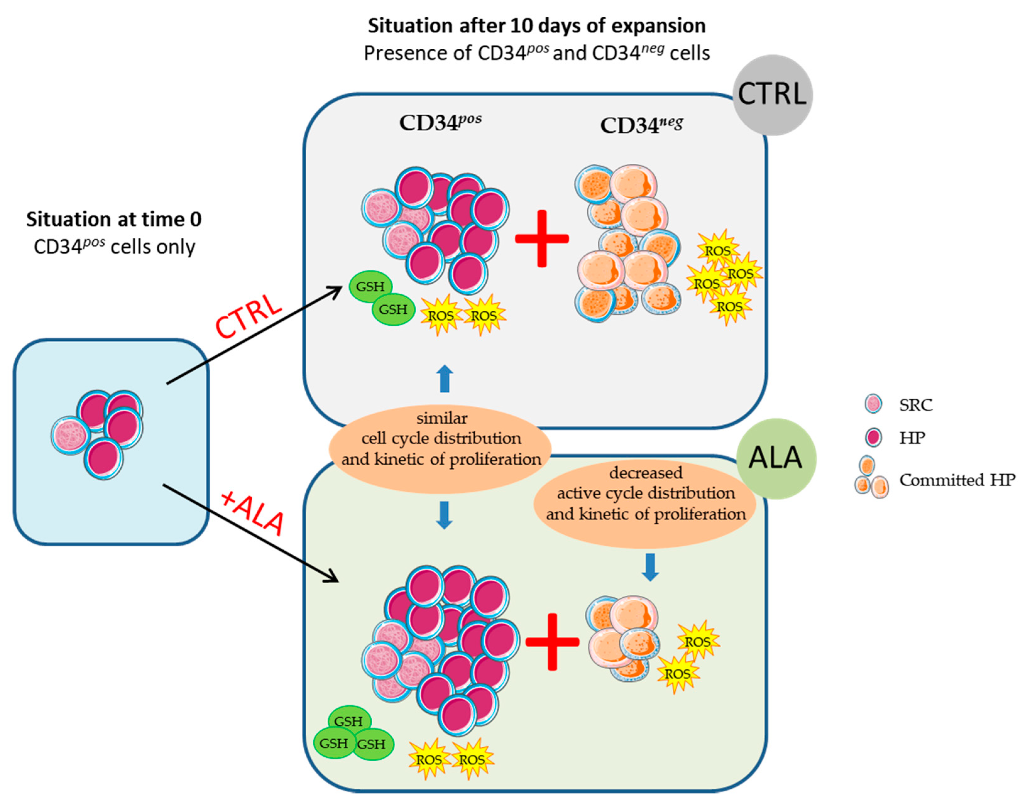 Biomolecules 12 00431 g008 Biomolecules 12 00431 g008