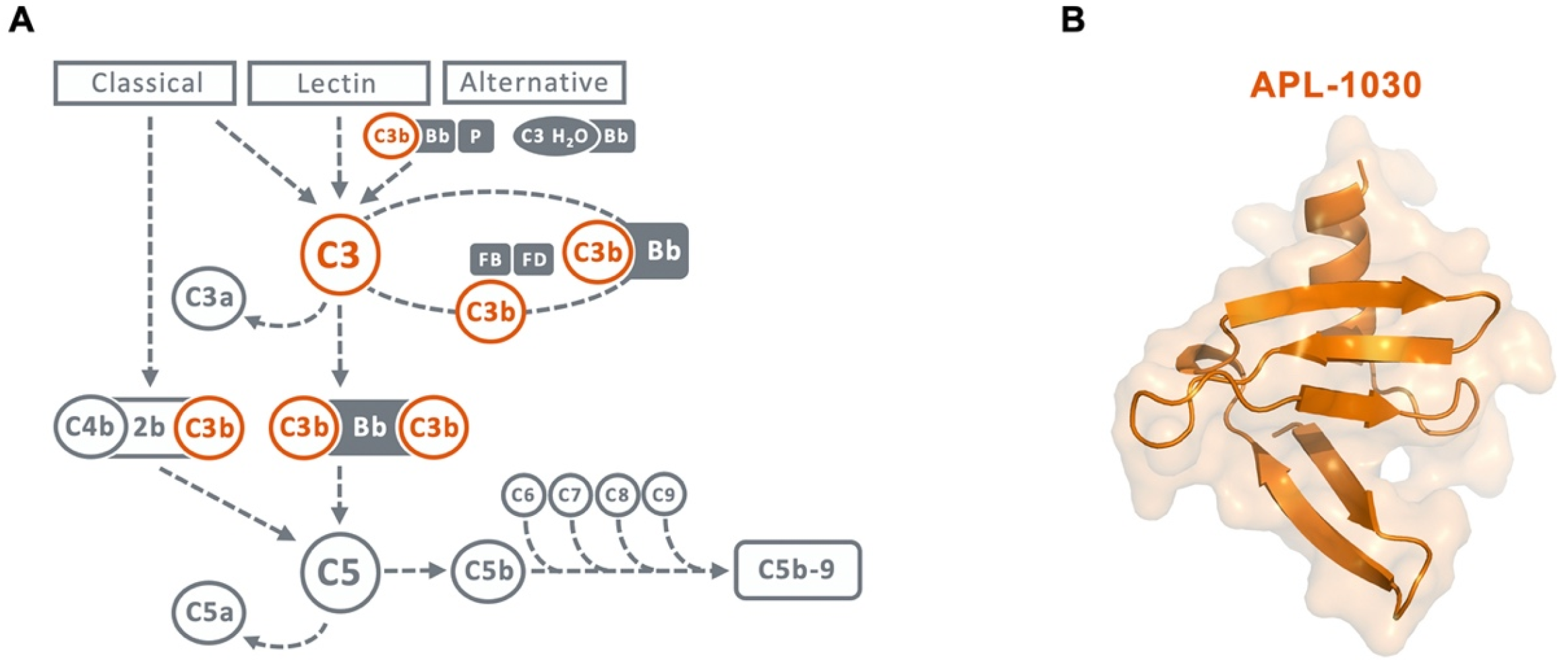 Biomolecules 12 00432 g001 Biomolecules 12 00432 g001