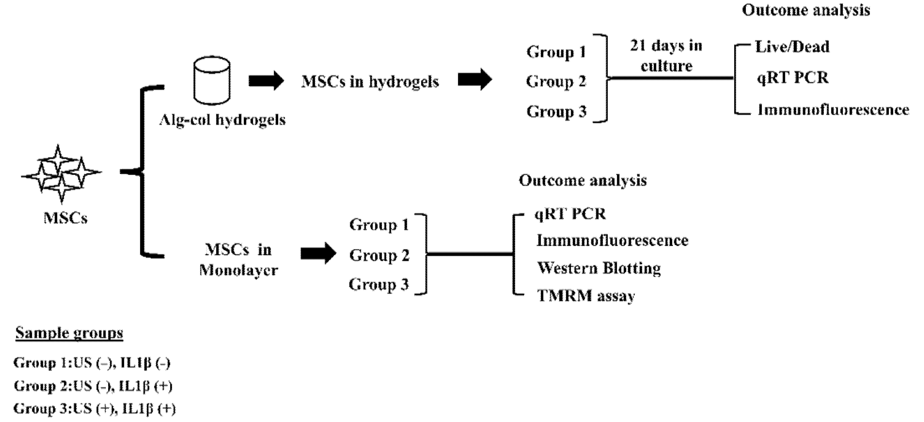 Biomolecules 12 00434 g001