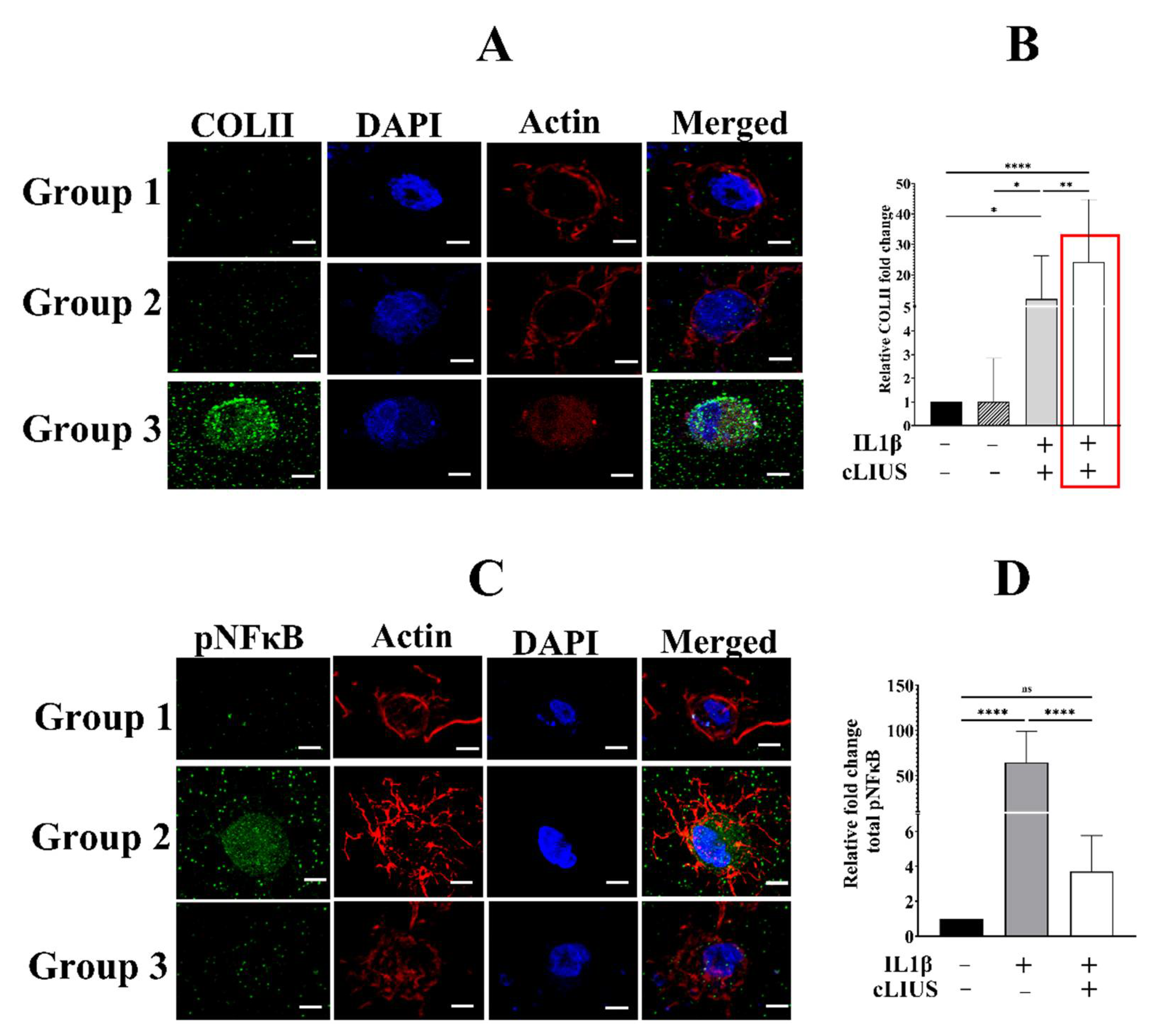 Biomolecules 12 00434 g002