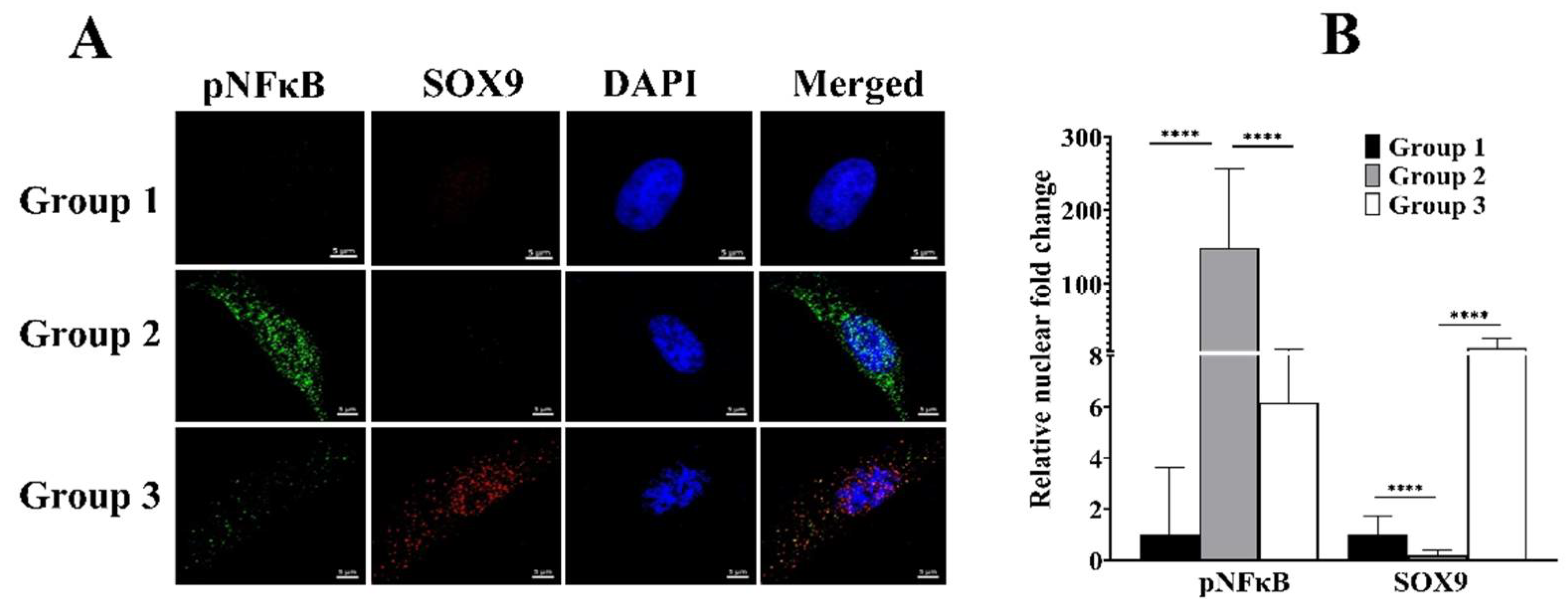 Biomolecules 12 00434 g005