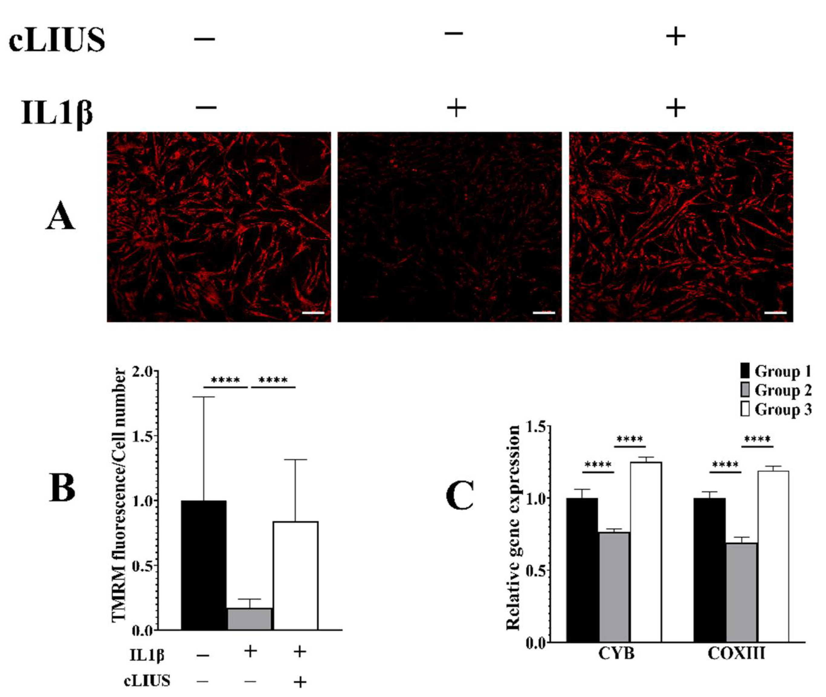 Biomolecules 12 00434 g007