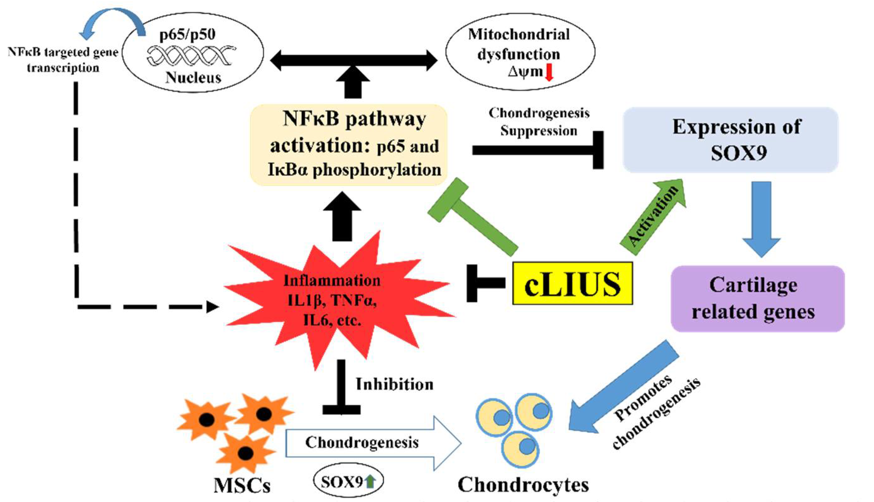Biomolecules 12 00434 g008