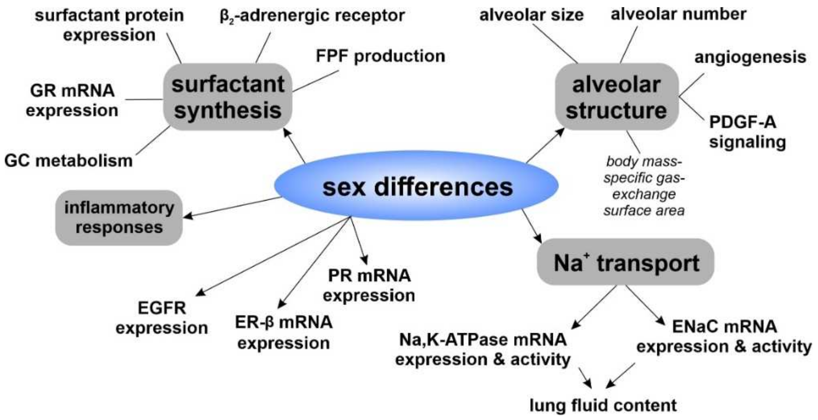 Biomolecules 12 00437 g004 Biomolecules 12 00437 g004