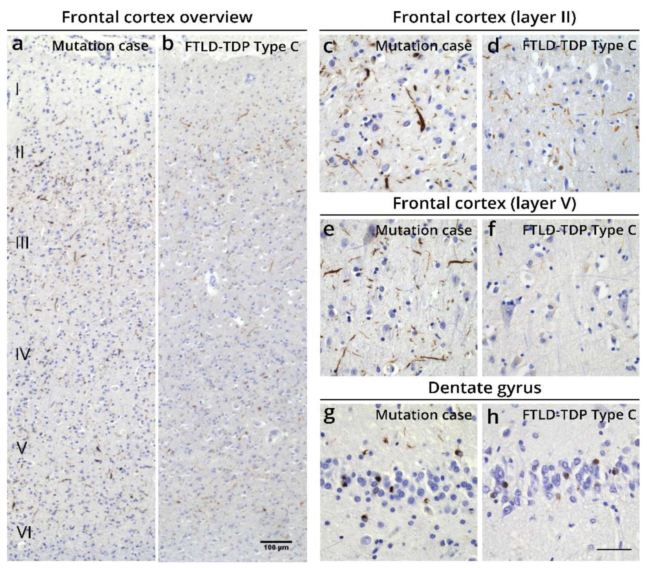 Biomolecules 12 00440 g003 550