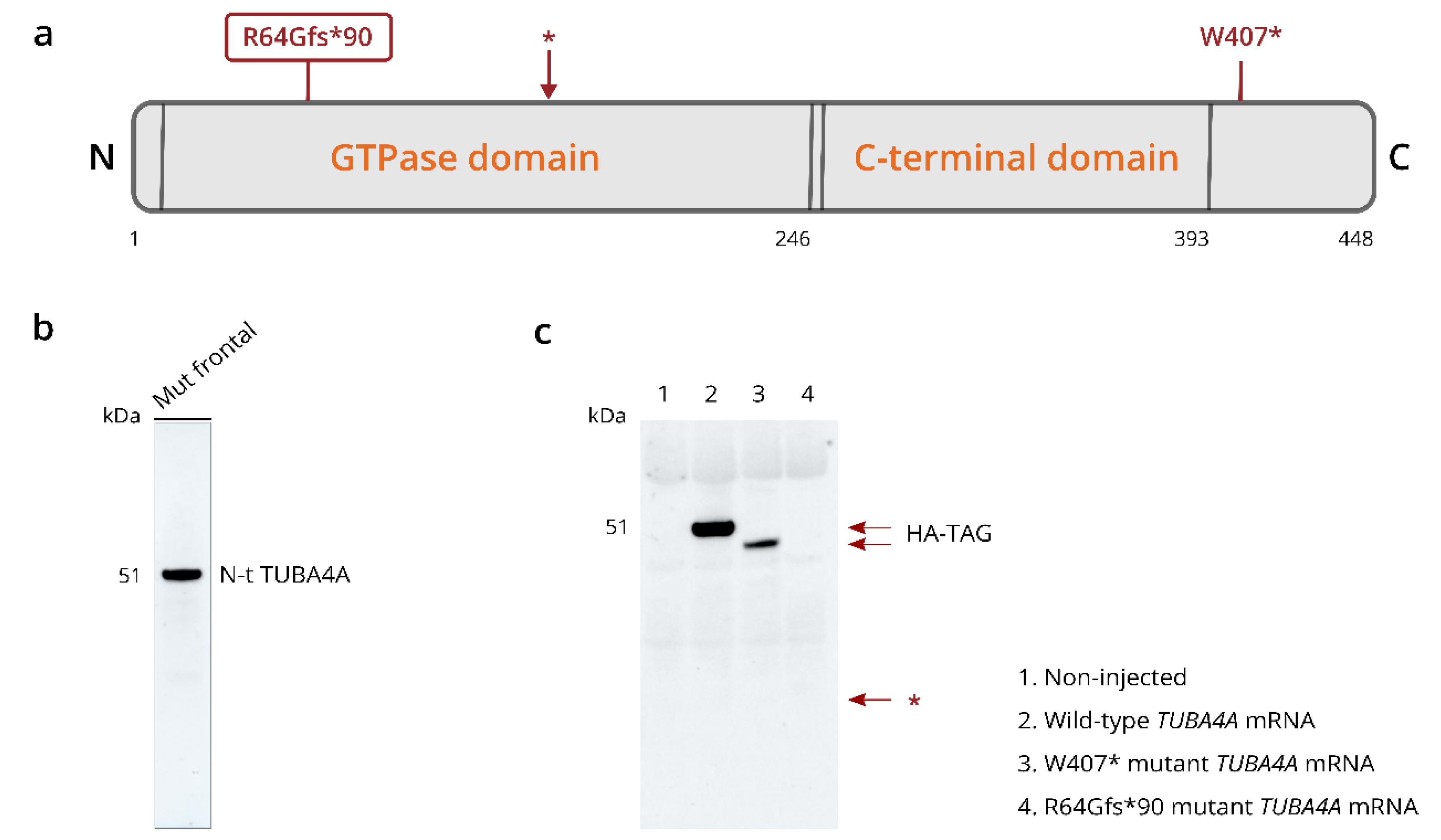 Biomolecules 12 00440 g004 550