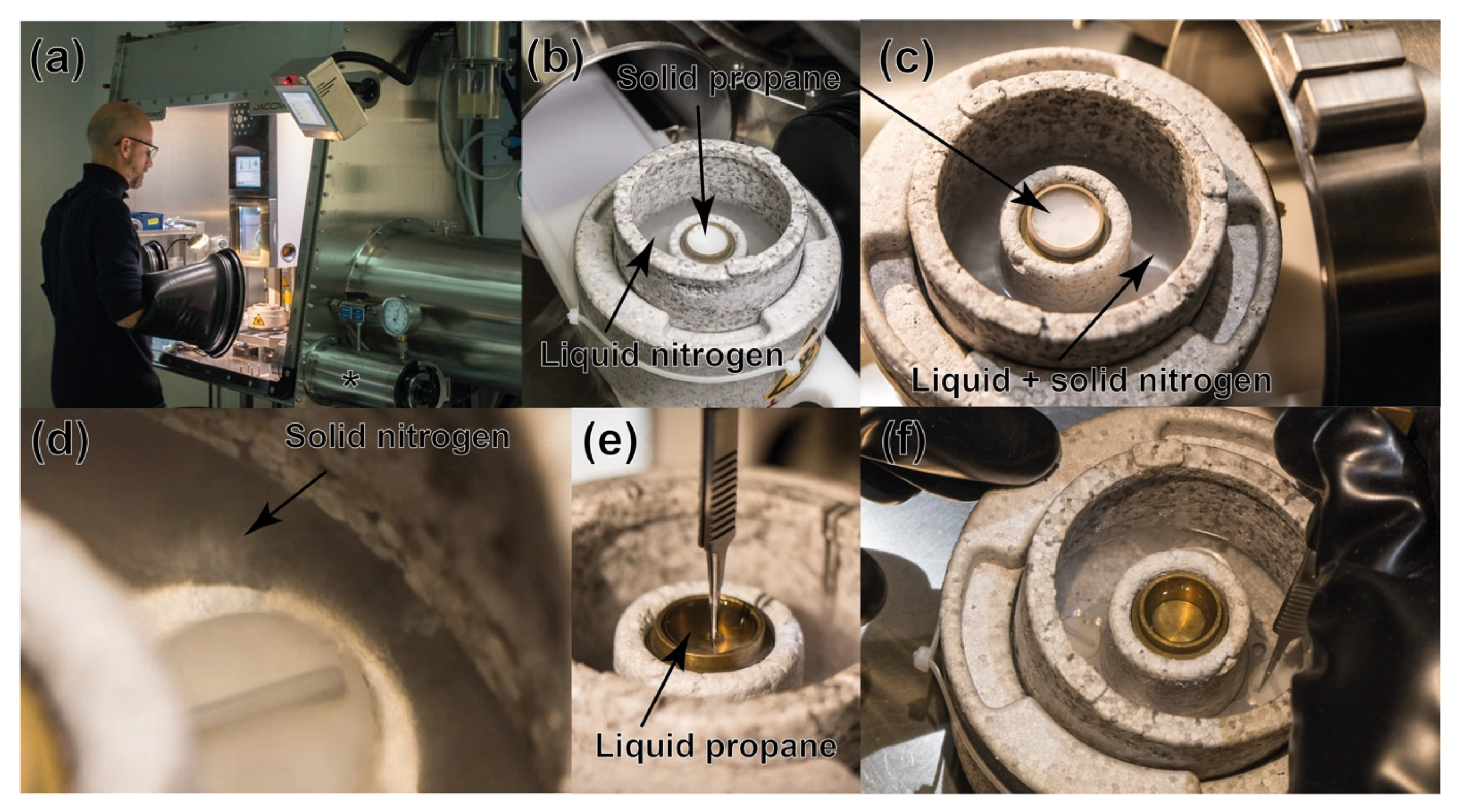 Biomolecules 12 00441 g002