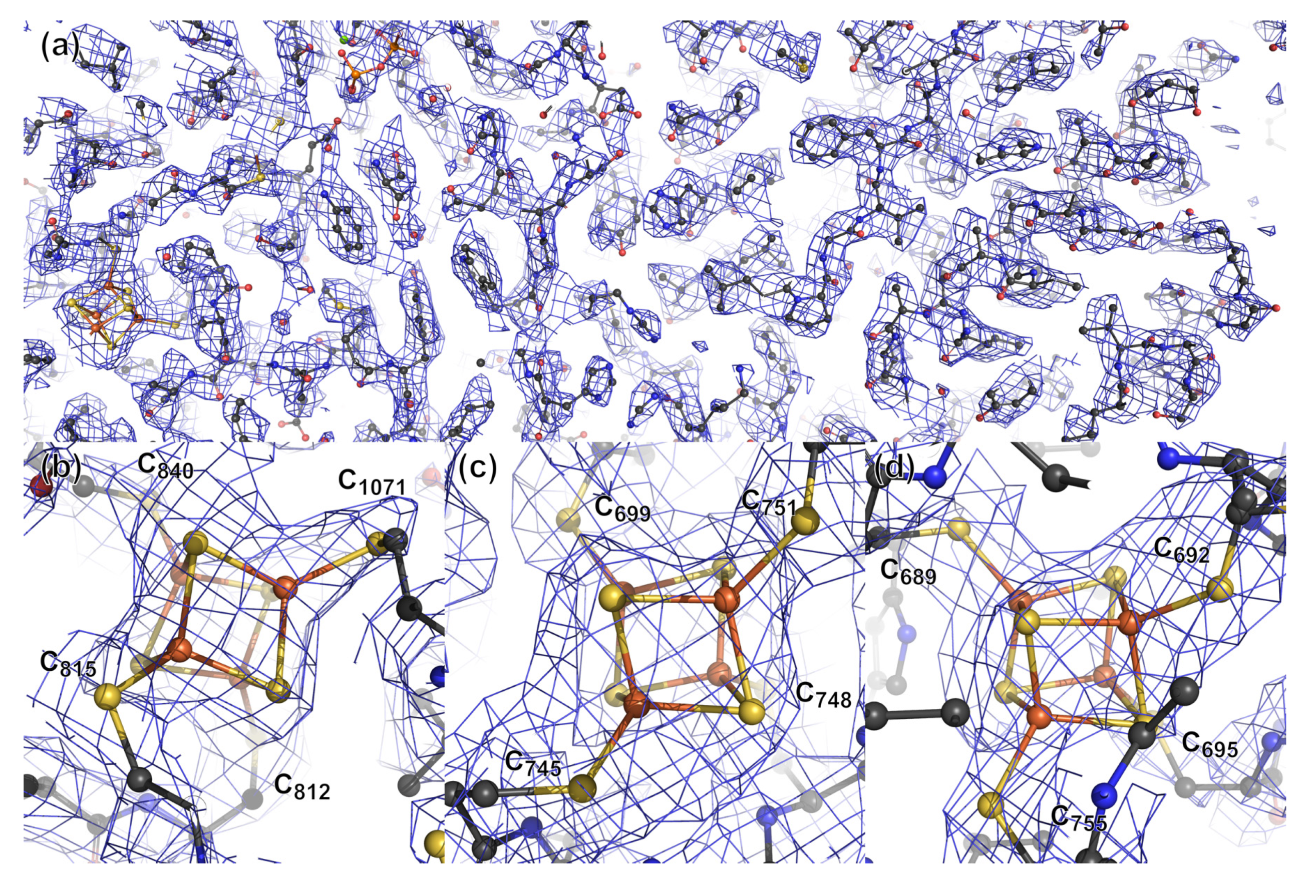 Biomolecules 12 00441 g005