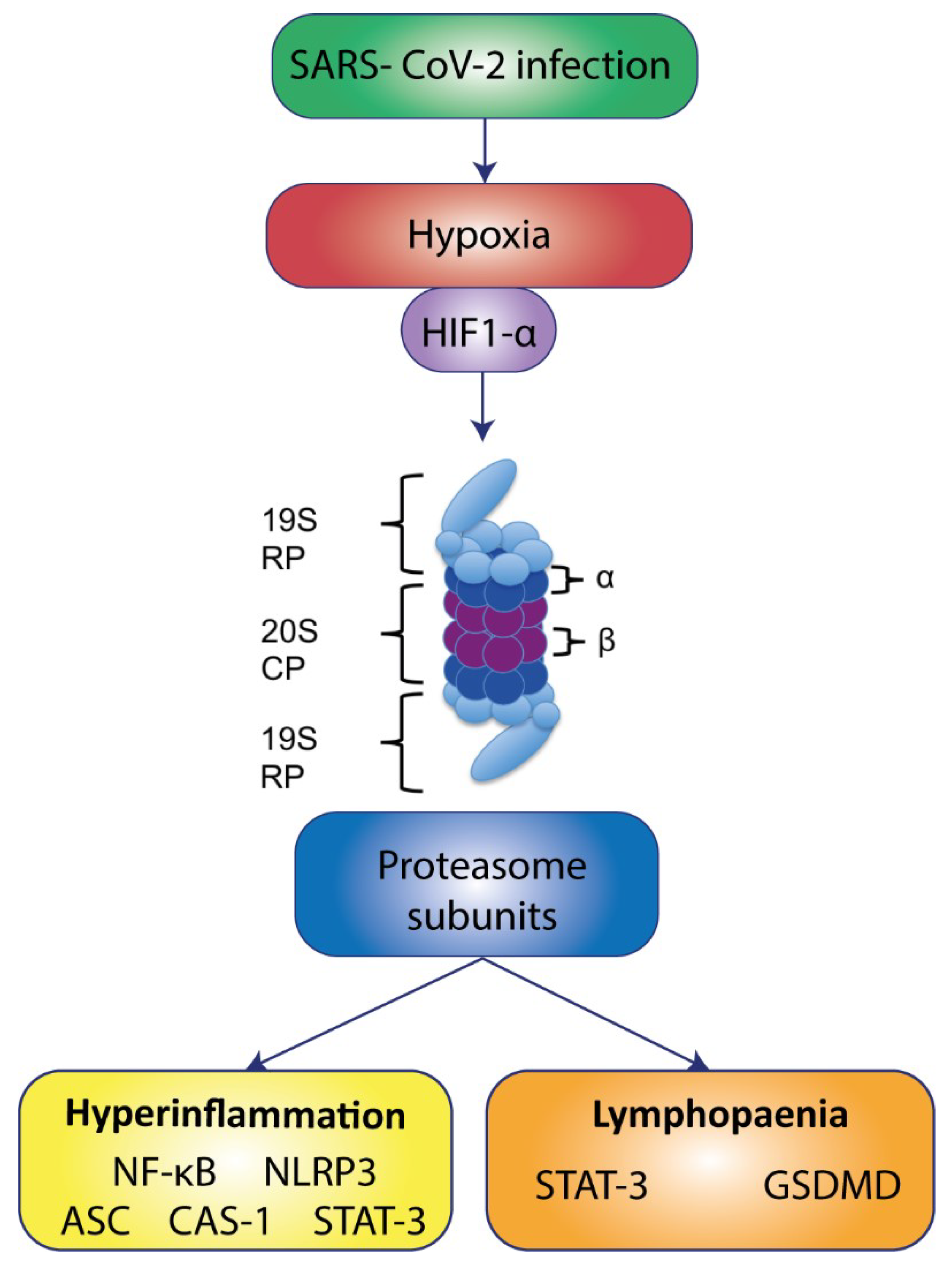 Biomolecules 12 00442 g006 Biomolecules 12 00442 g006