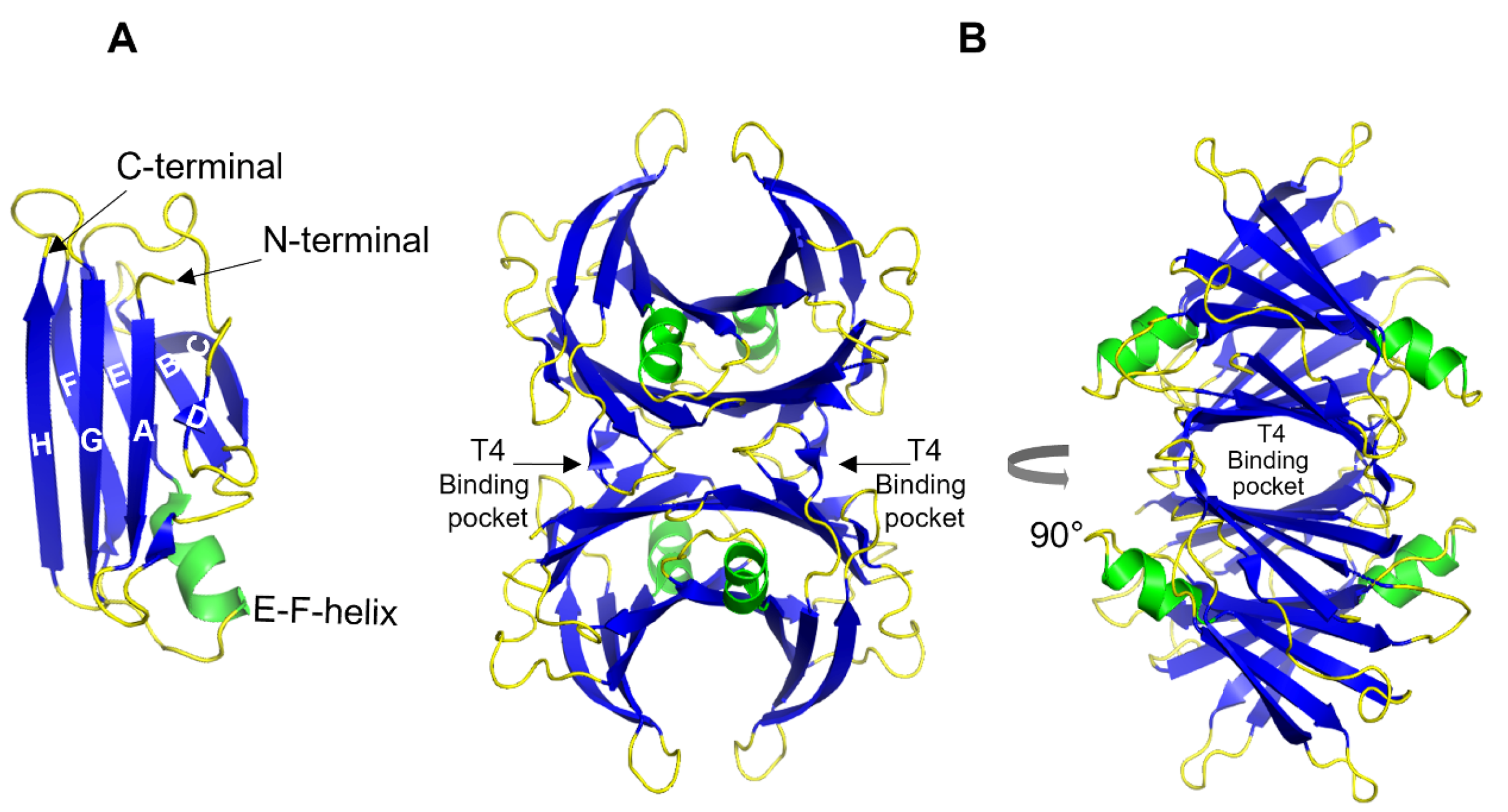 Biomolecules 12 00446 g002 550