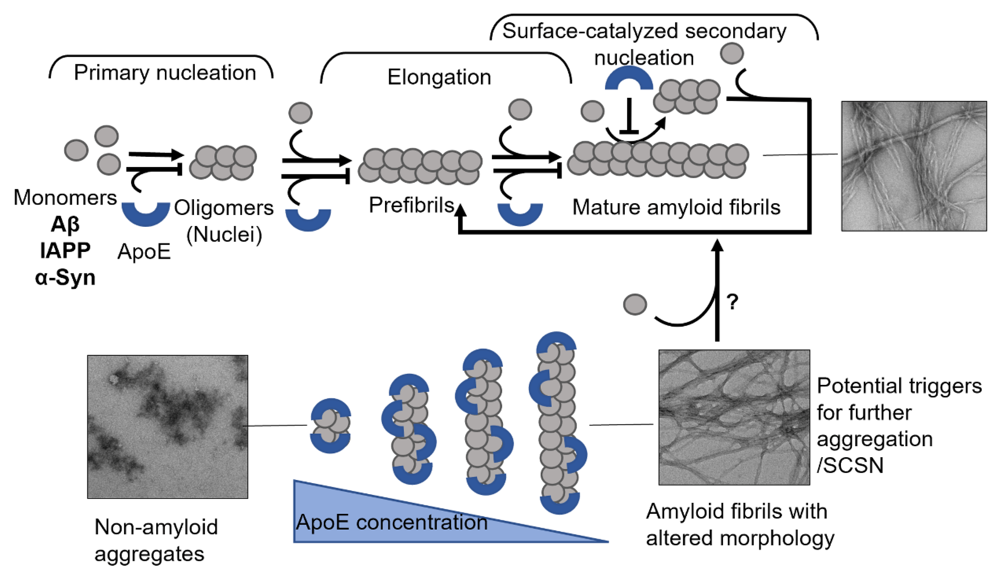 Biomolecules 12 00446 g005 550