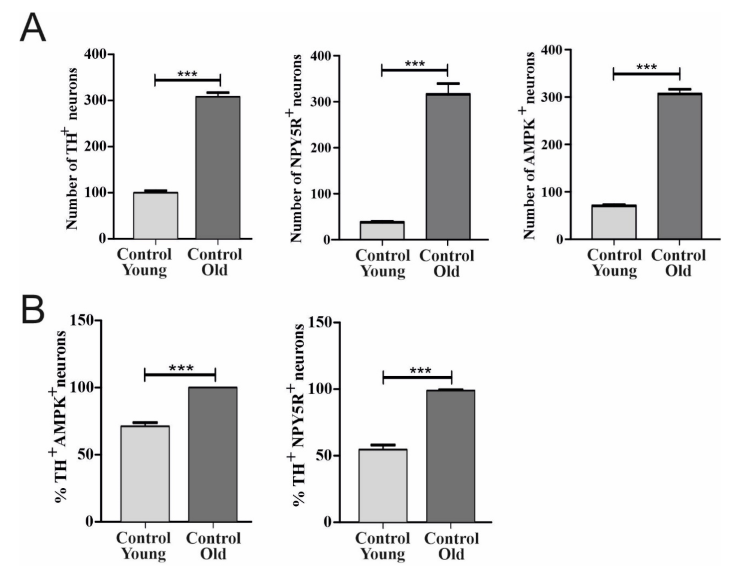Biomolecules 12 00449 g002 Biomolecules 12 00449 g002