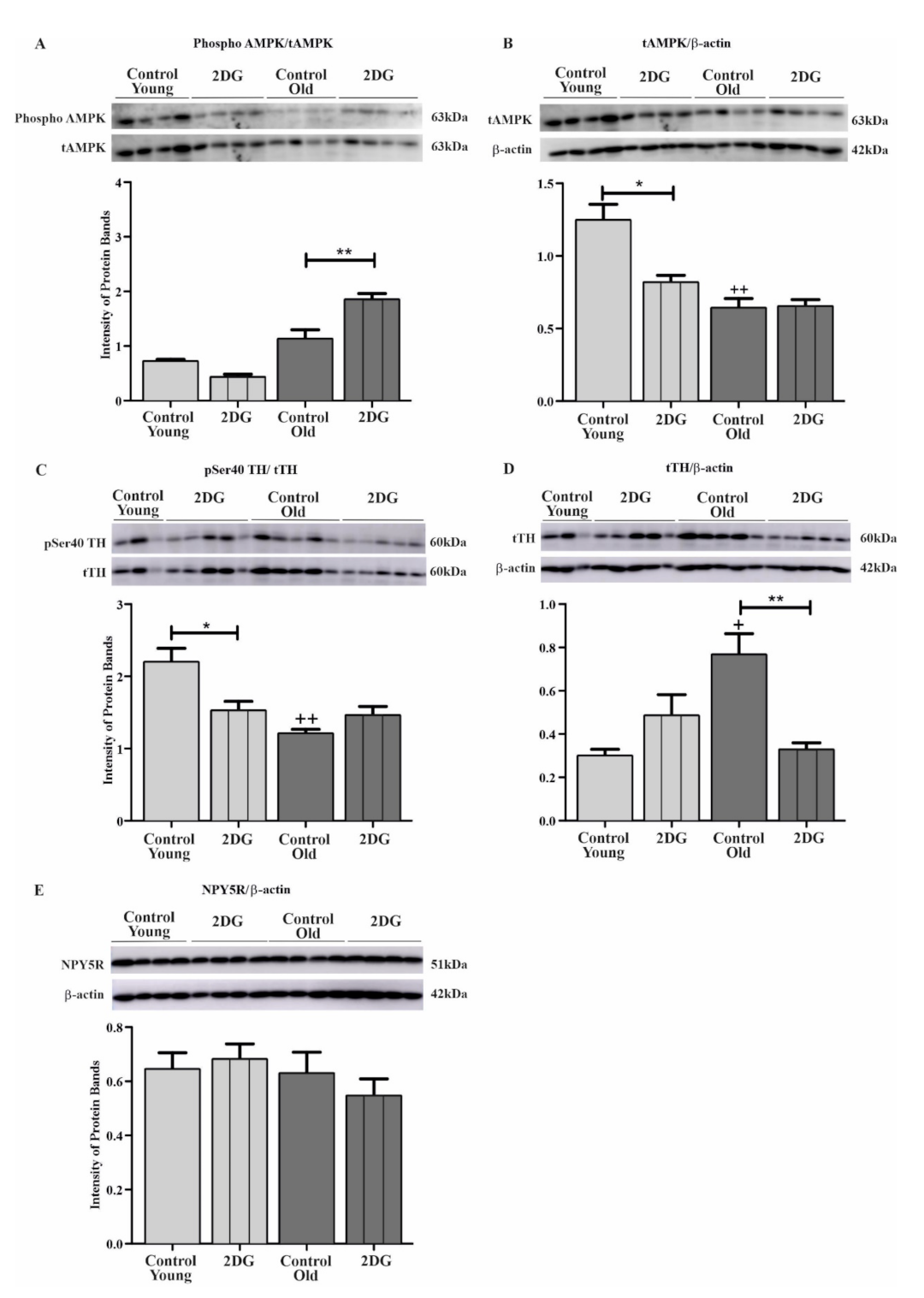 Biomolecules 12 00449 g003 Biomolecules 12 00449 g003