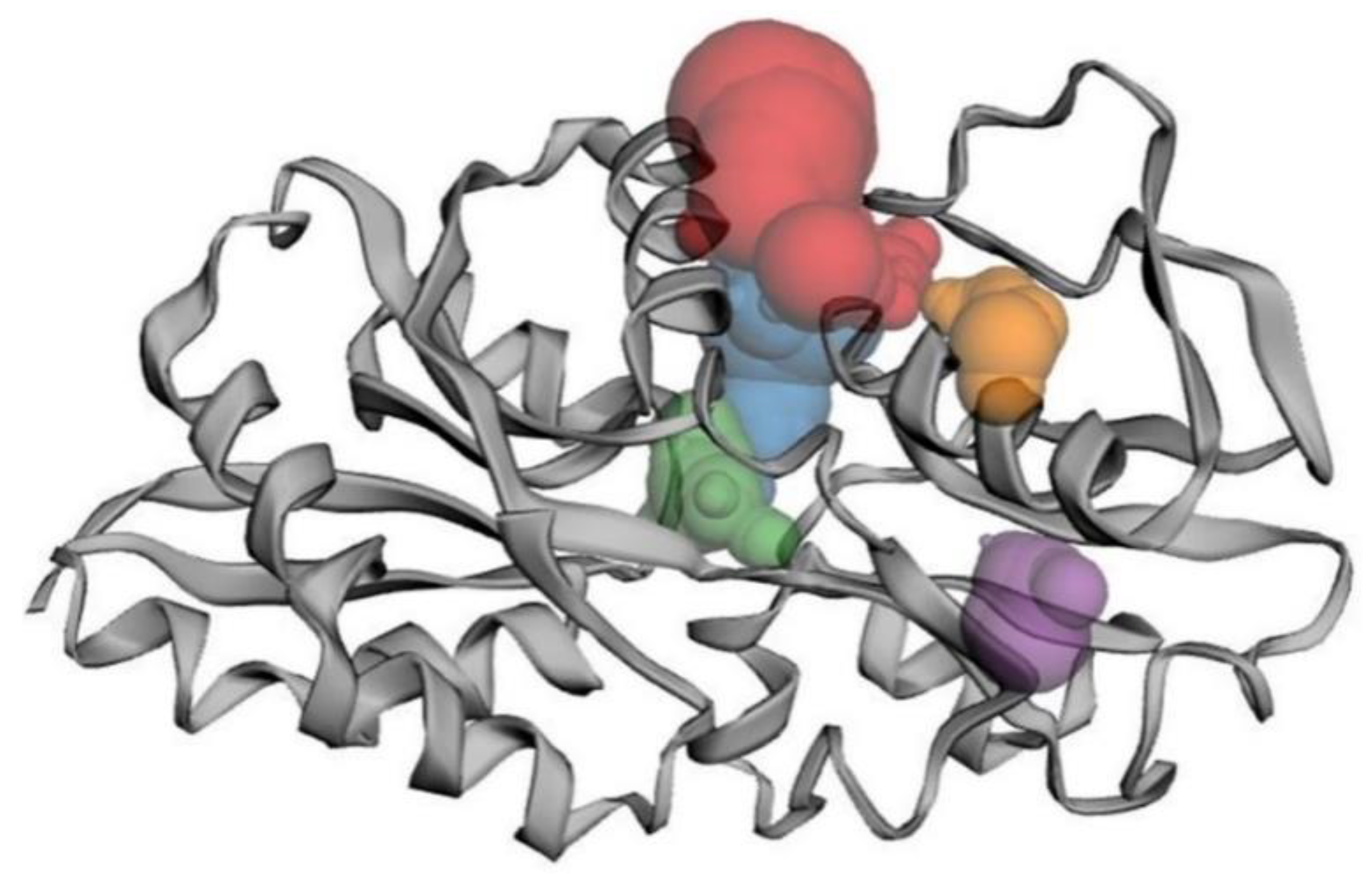 Biomolecules 12 00450 g006