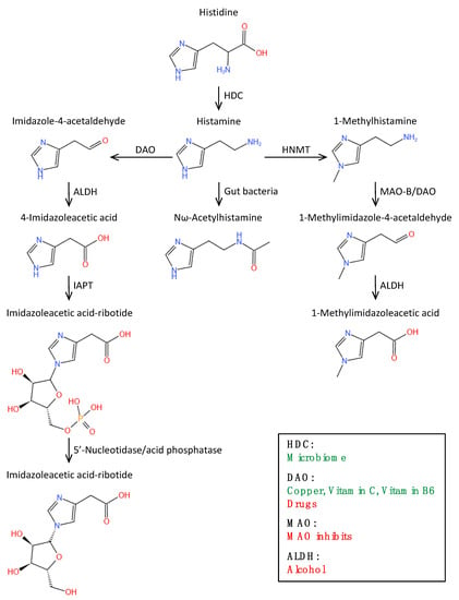 Biomolecules 12 00454 g001 550