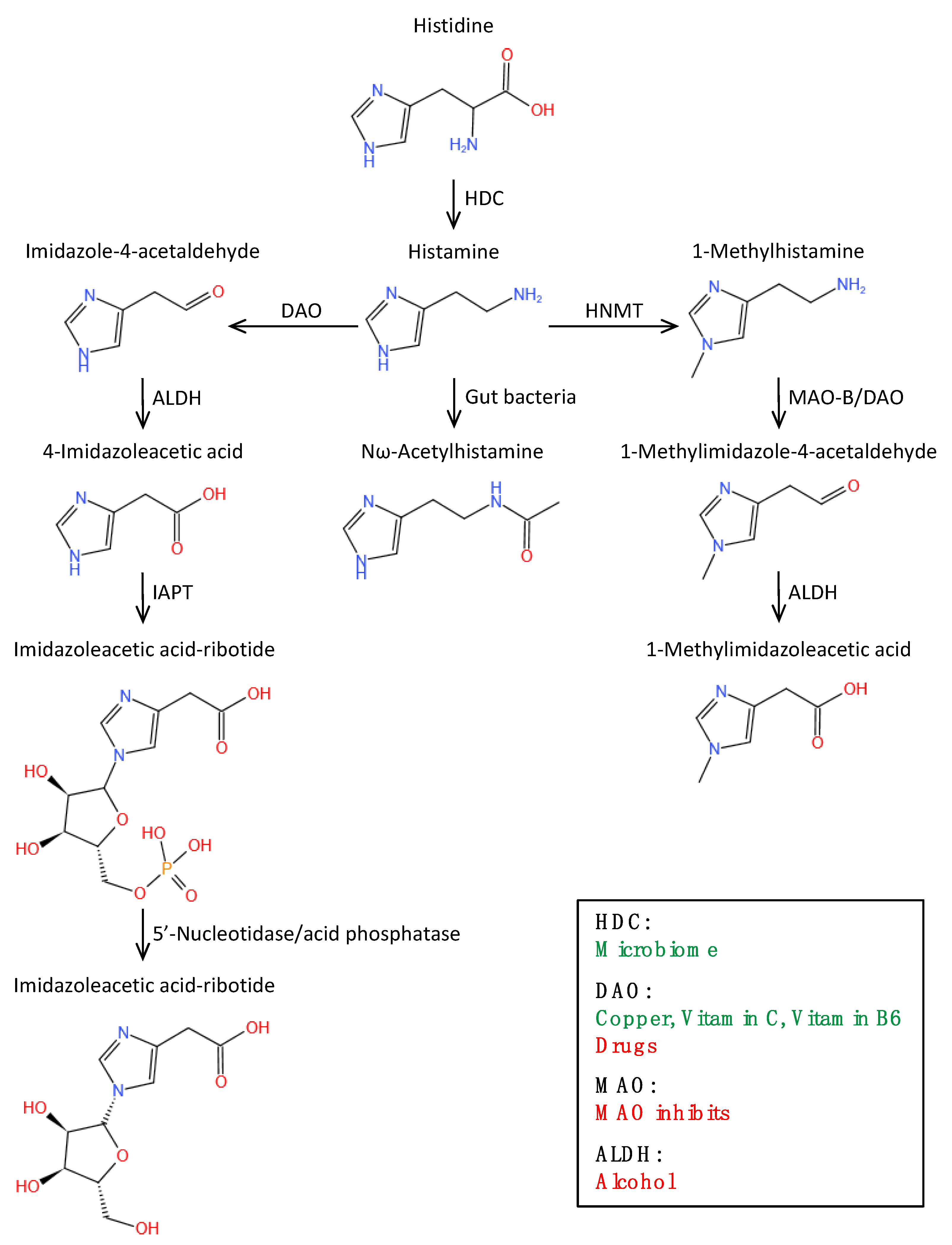 Biomolecules 12 00454 g001
