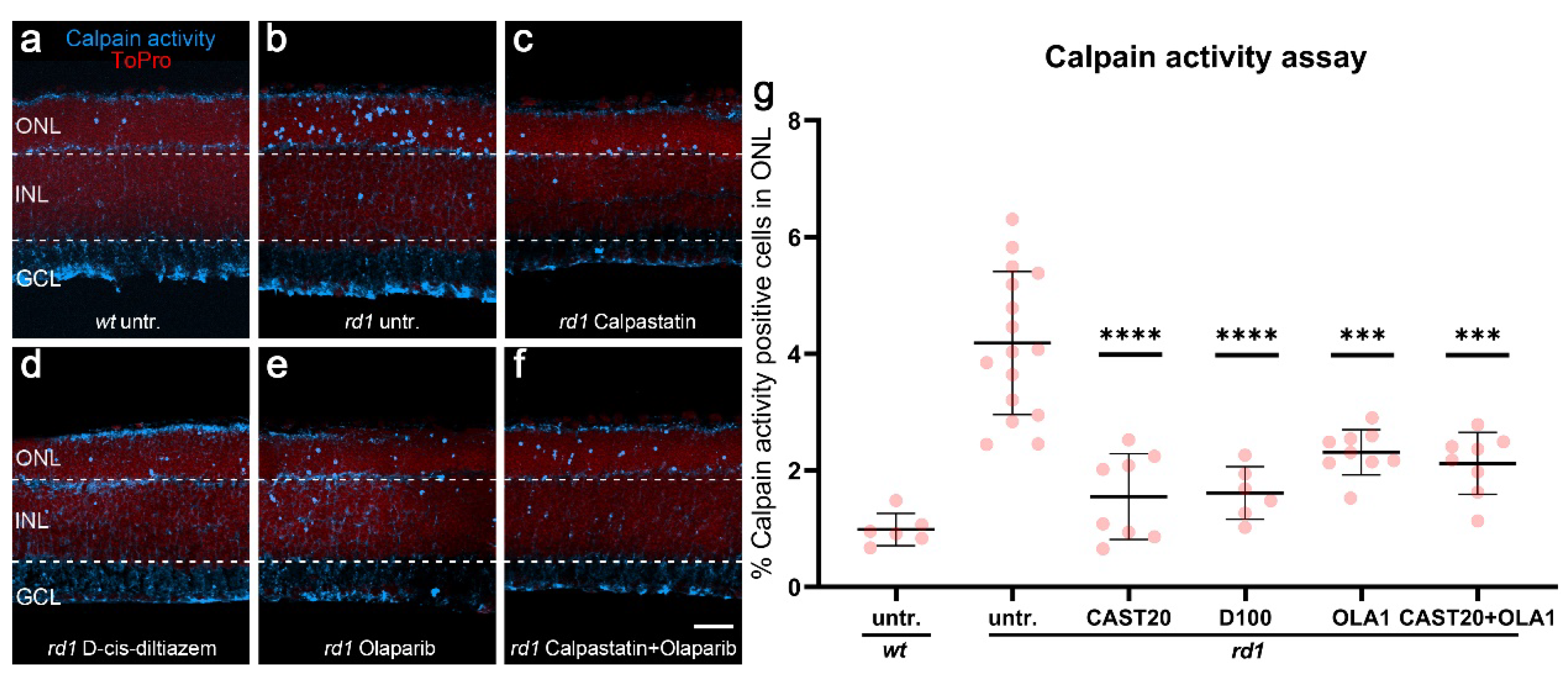 Biomolecules 12 00455 g001 Biomolecules 12 00455 g001
