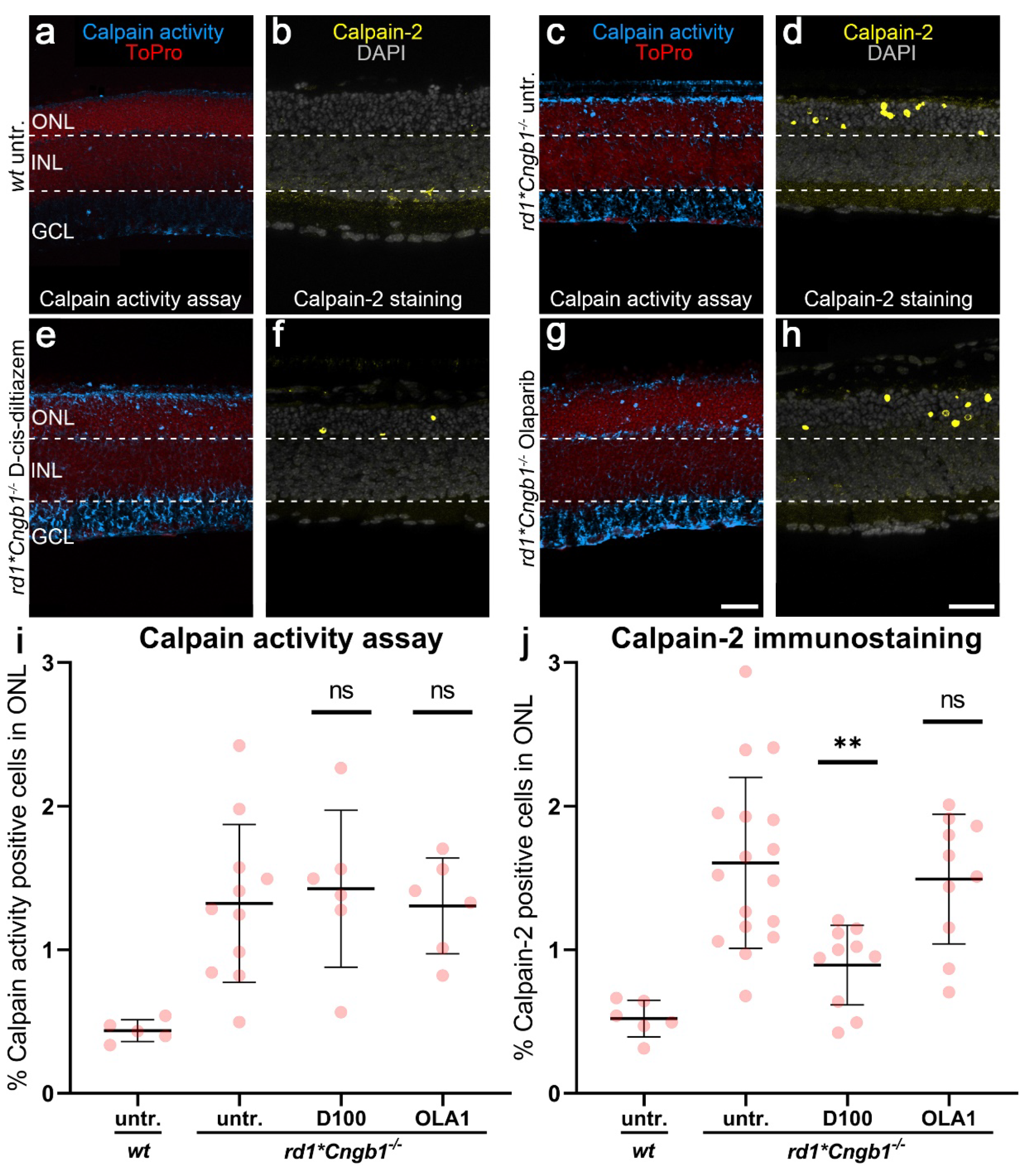 Biomolecules 12 00455 g004 Biomolecules 12 00455 g004
