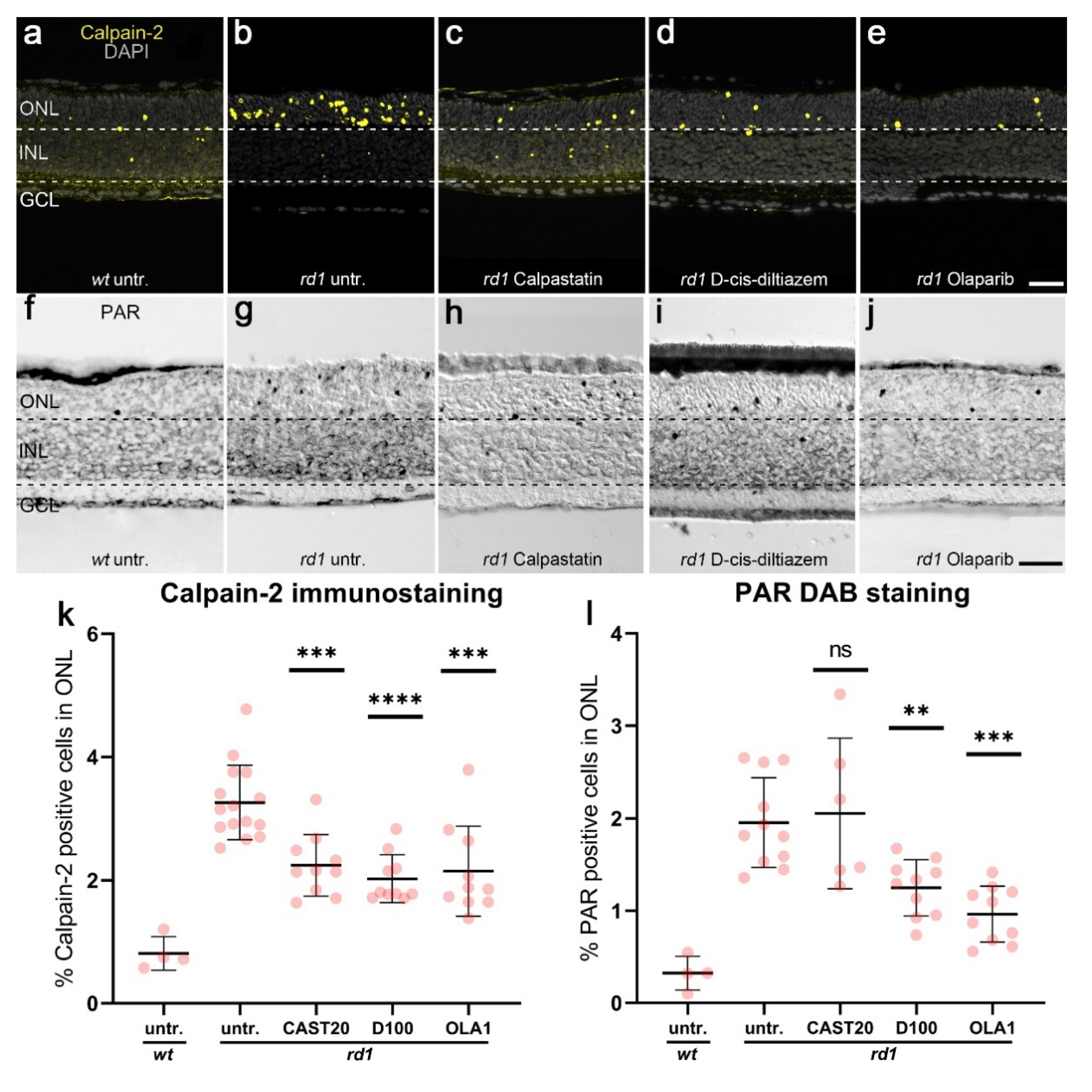 Biomolecules 12 00455 sch0a1 Biomolecules 12 00455 sch0a1
