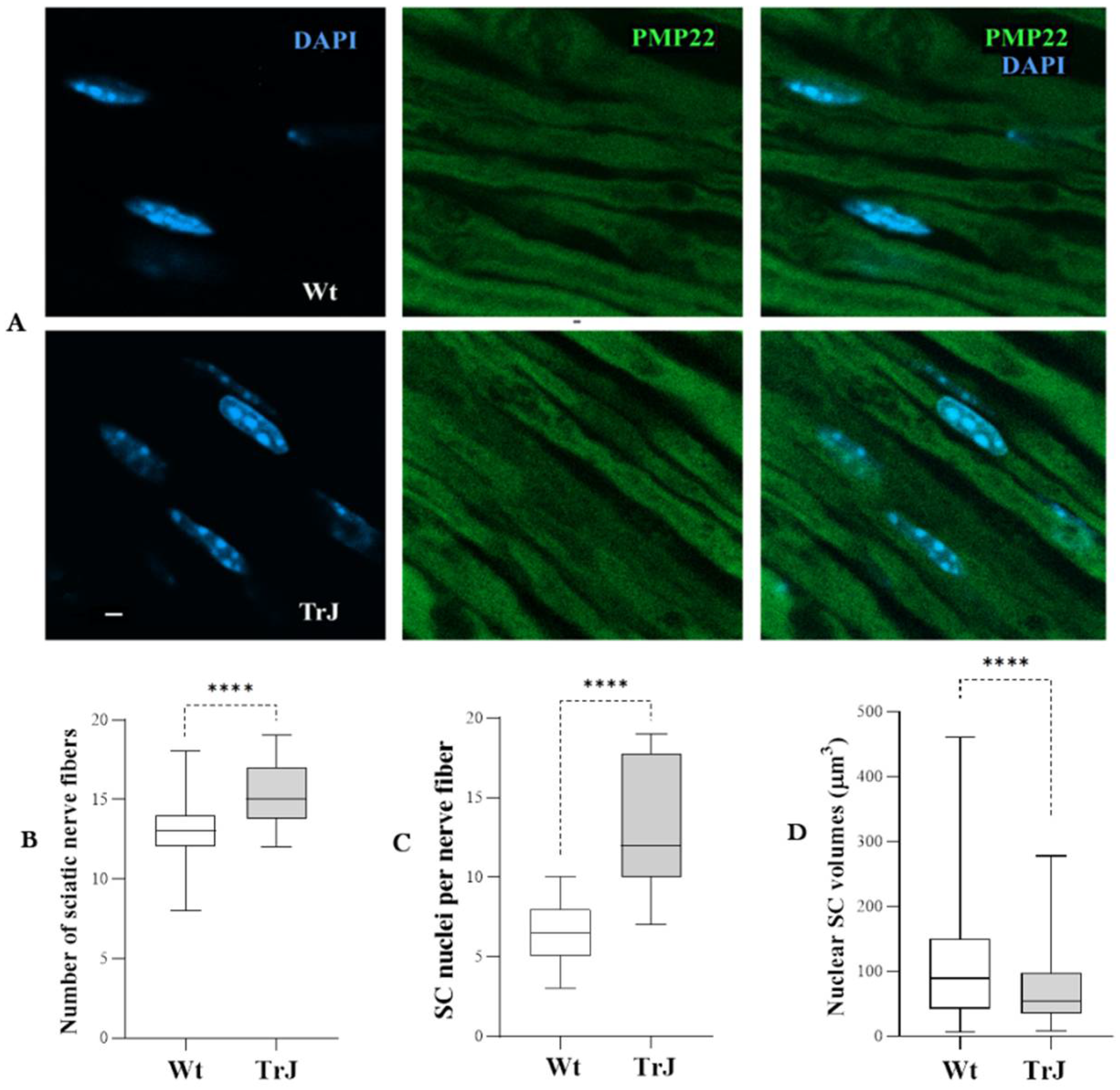 Biomolecules 12 00456 g001