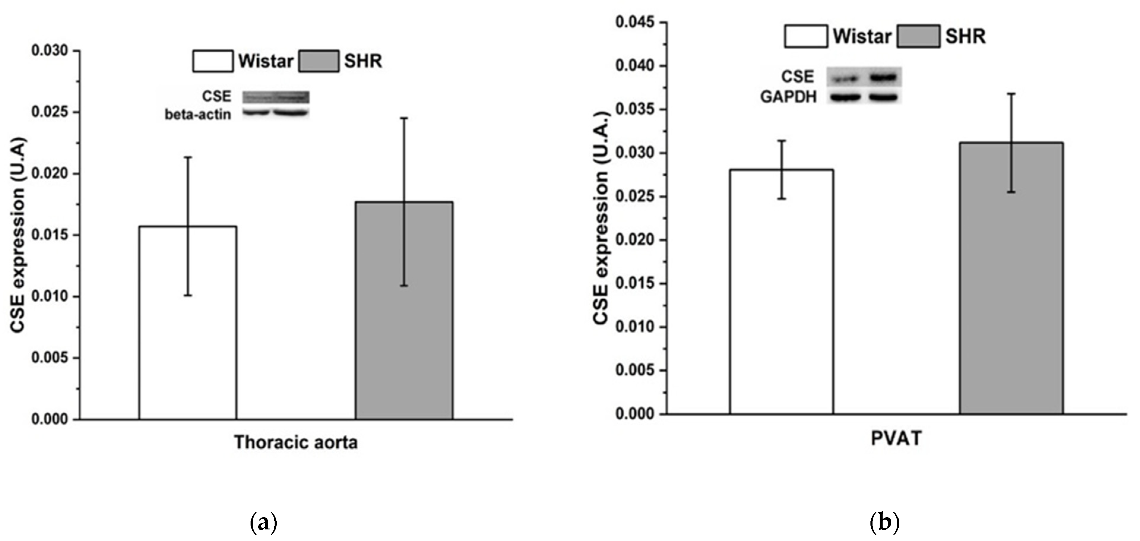 Biomolecules 12 00457 g005