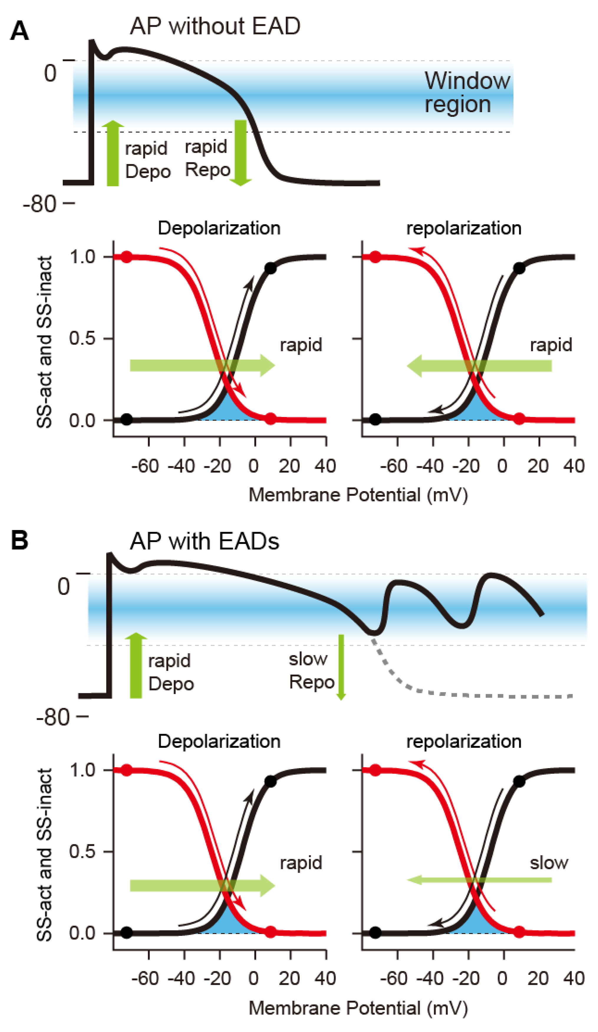 Biomolecules 12 00459 g002 Biomolecules 12 00459 g002